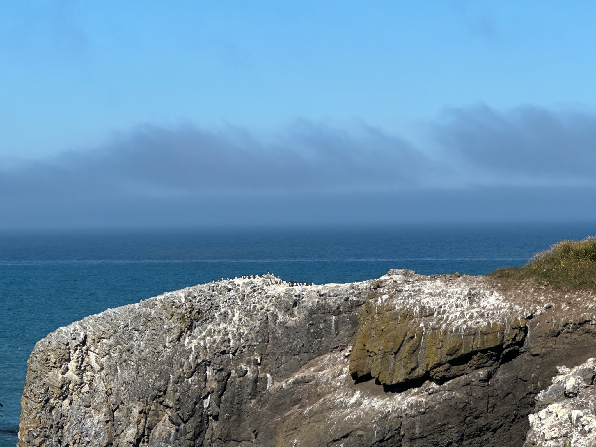 Community photo entitled  by Victoria Bryhan on 07/08/2024 at Yaquina Head, Newport, Oregon