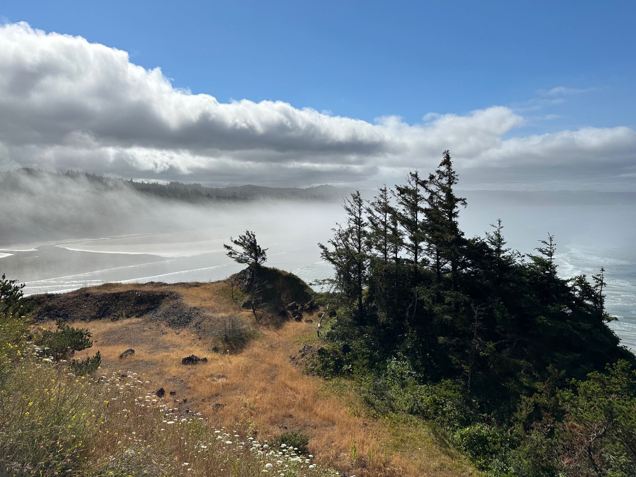 Community photo by Victoria Bryhan | Yaquina Head looking at Agate Beach