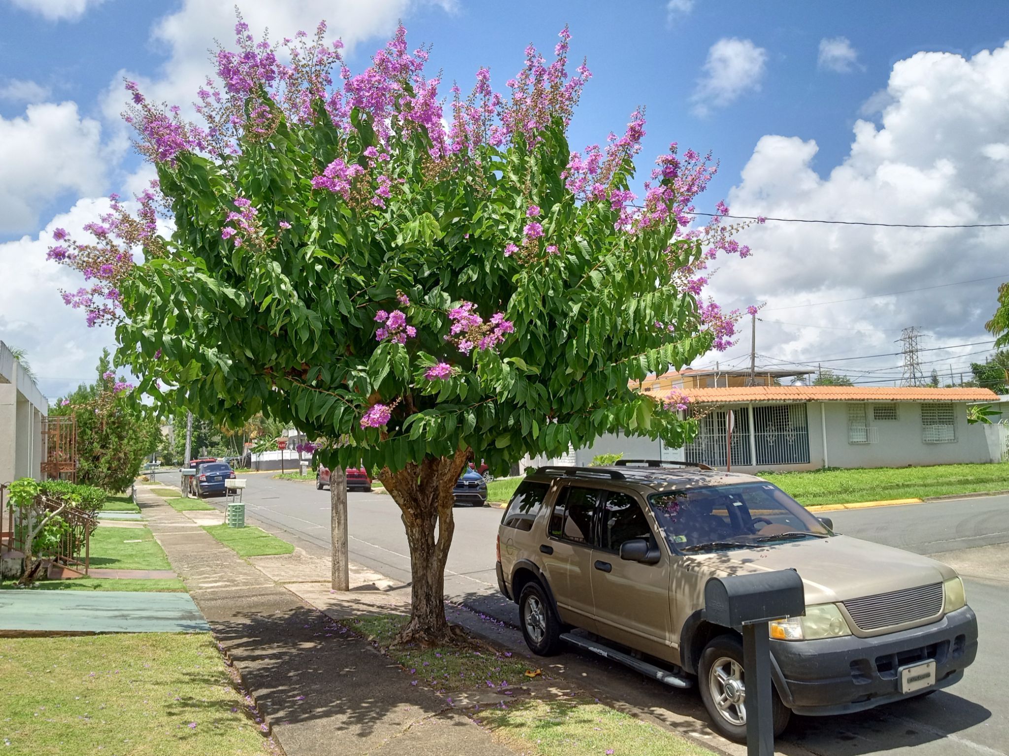 Community photo by Armando Caussade | San Juan, Puerto Rico