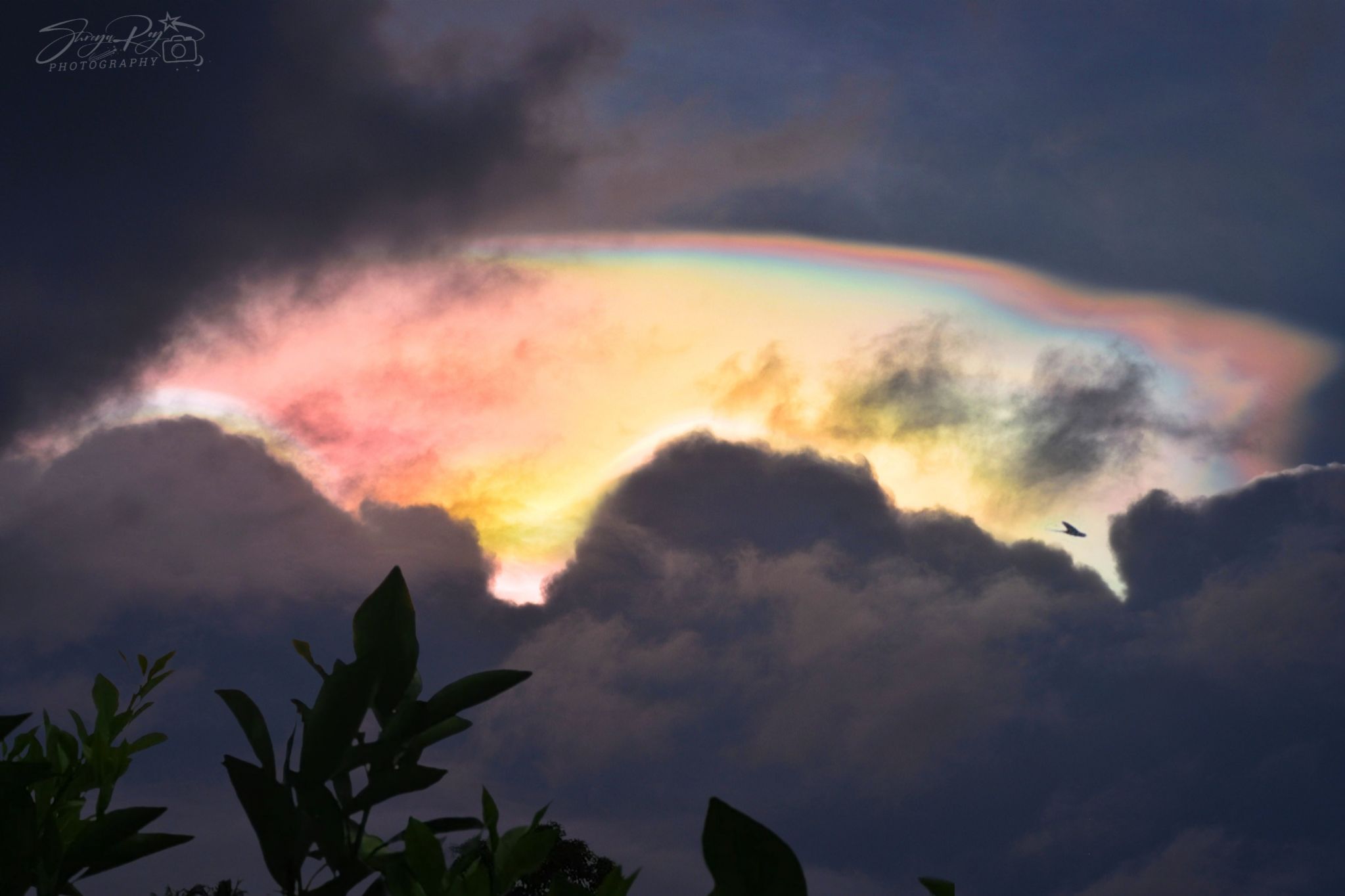 Community photo entitled Iridescent Clouds by Shreya Roy on 07/21/2024 at Kolkata, India