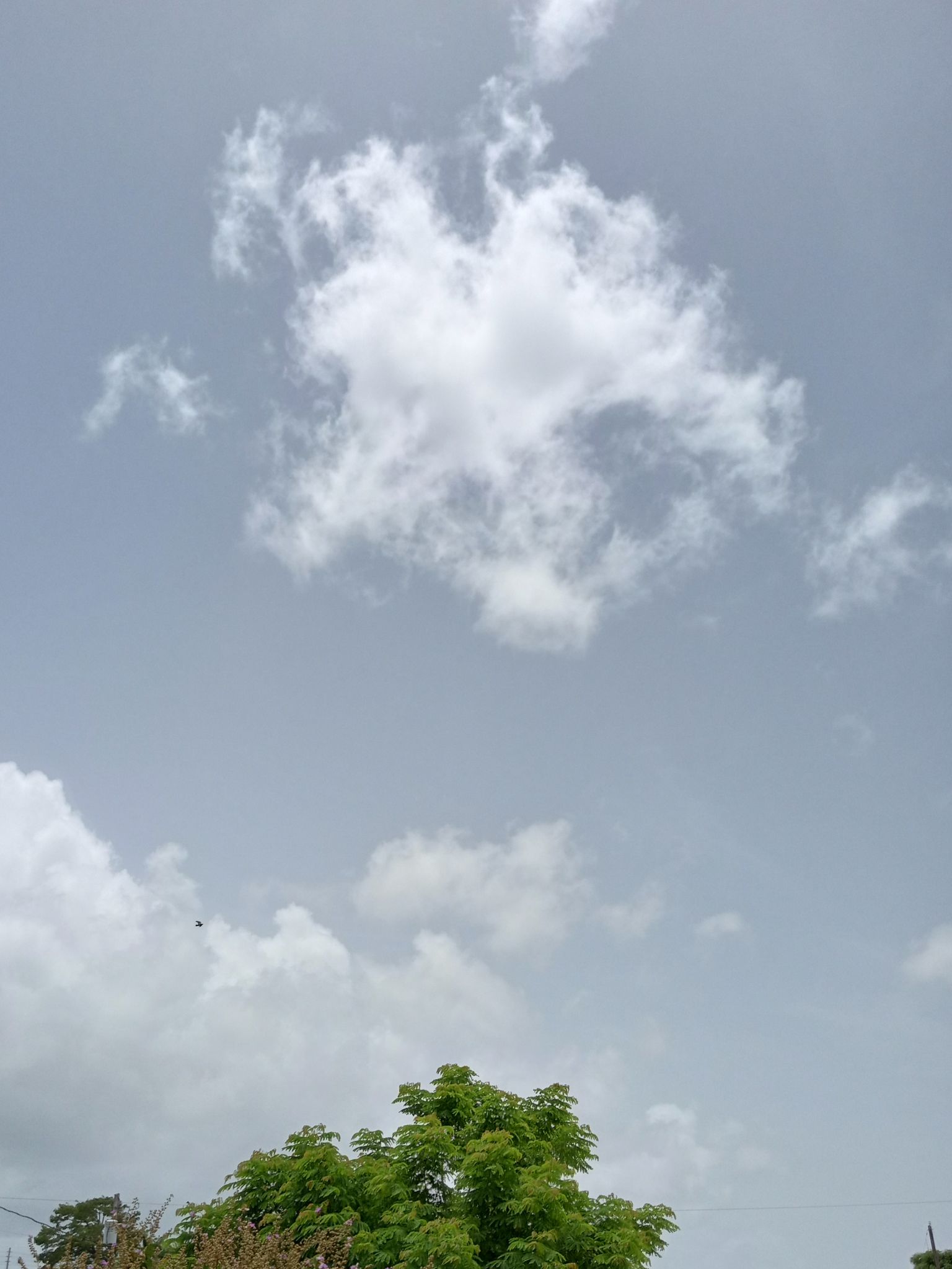 Community photo entitled Atmospheric Saharan dust over Caribbean skies by Armando Caussade on 07/27/2024 at San Juan, Puerto Rico