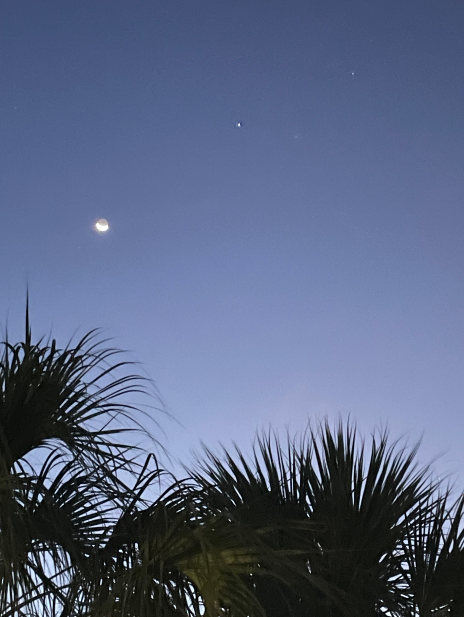 Community photo entitled Crescent Moon, Jupiter and Mars over Cape Coral by James Figge on 07/31/2024 at Cape Coral, FL