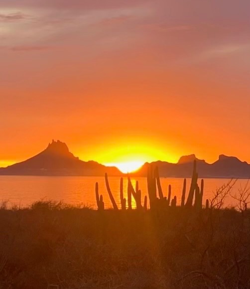 Community photo entitled San Carlos…Where the Desert Meets the Sea by Muneka Stephens on 07/08/2024 at San Carlos, Son, Mexico