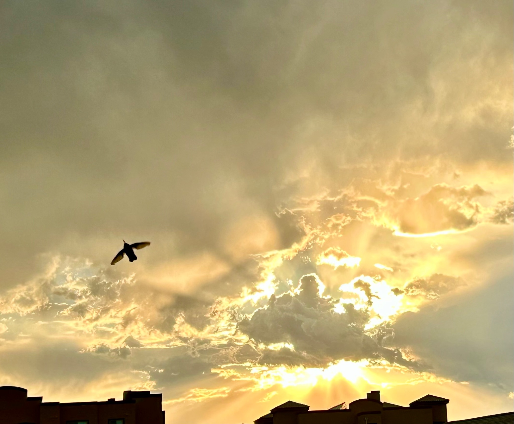 Community photo entitled  by Muneka Stephens on 07/10/2024 at Looking West from my backyard in Sierra Vista, AZ