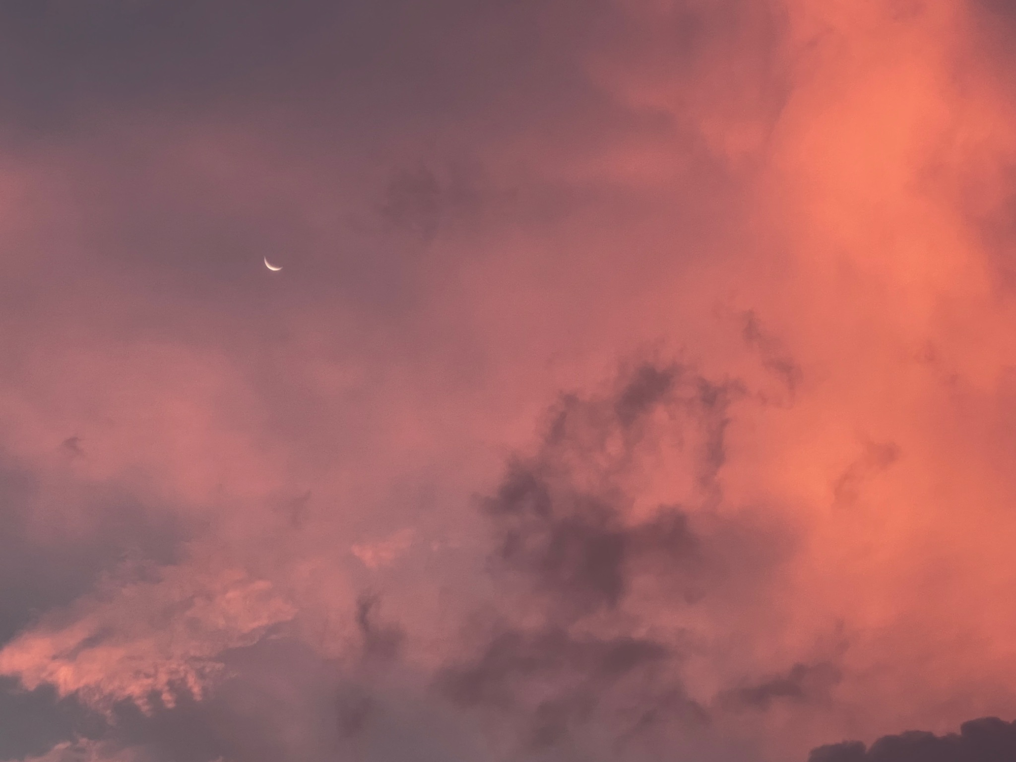 Community photo entitled Crescent moon by Sudhir Sharma on 07/31/2024 at Stormville, NY