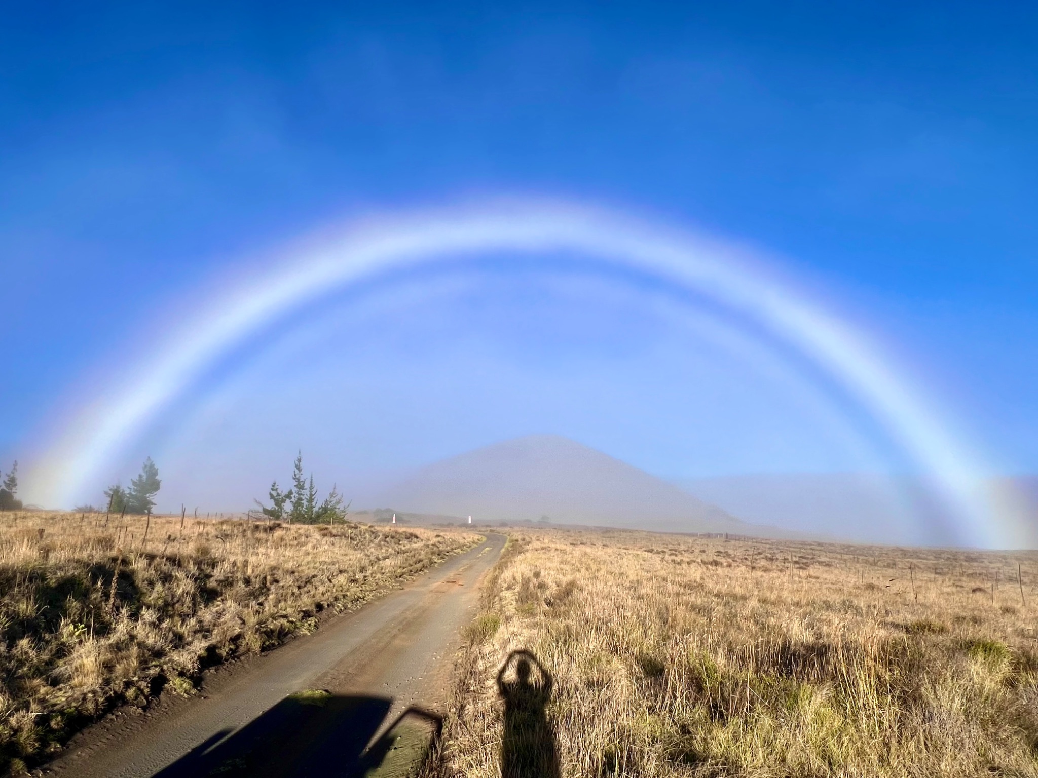 Community photo entitled Brocken Bow by Paul C. Peh on 07/27/2024 at Hilo, HI, USA