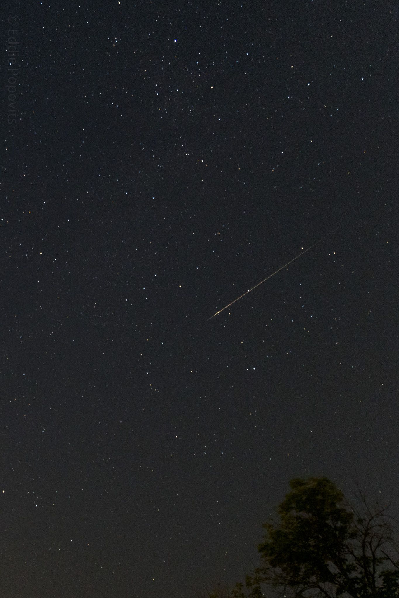 Community photo entitled Perseid 2024 by Eddie Popovits on 07/28/2024 at Branson Missouri