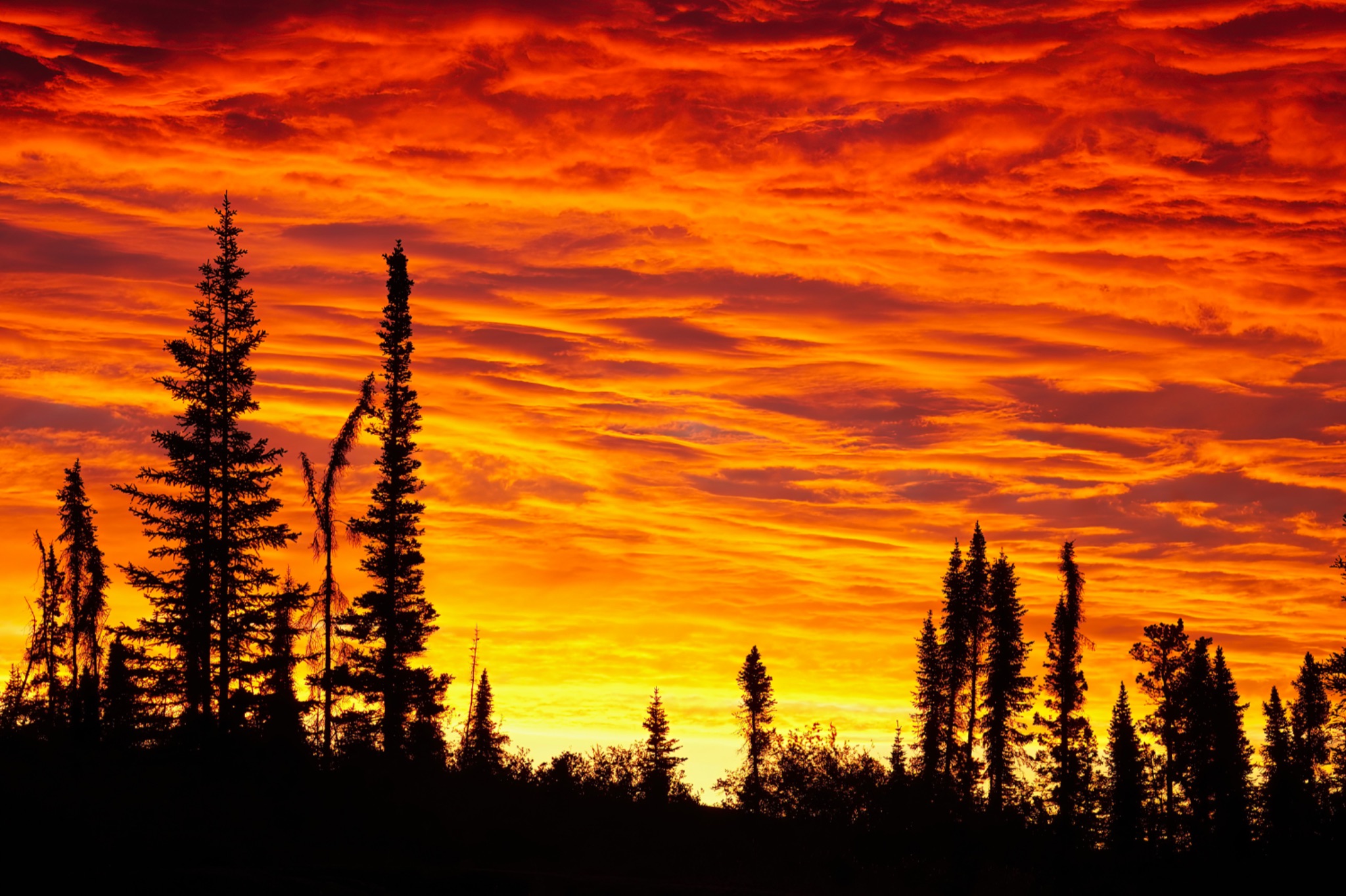 Community photo entitled Before Four Sunrise on Kluziai Island by Stan Peyton on 07/12/2024 at East end of Kluziai Island.  Great Slave Lake, Northwest Territory, Canada.