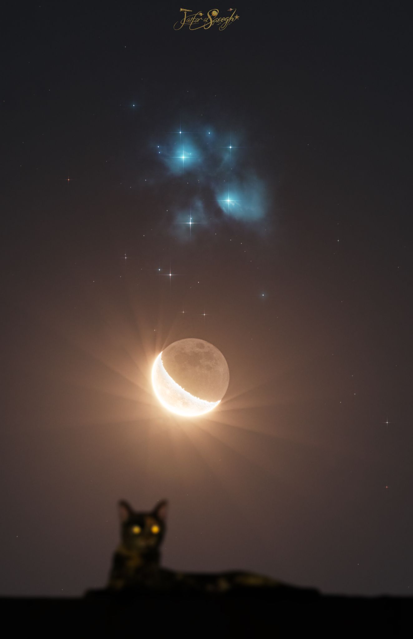 Community photo entitled The moon with the Pleiades and the cat (her name is venus:) by Jafar Al-Saeegh on 07/30/2024 at kabala , Iraq