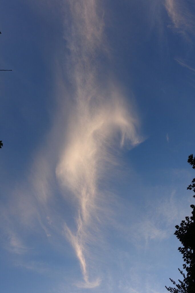 Community photo entitled Dragon cloud! by Mark Blunsum on 07/28/2024 at Liverpool, UK