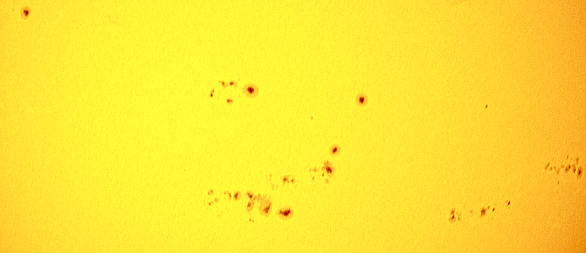 Community photo entitled Amazing Sunspots! by David Hawkes on 07/29/2024 at Sheffield, UK