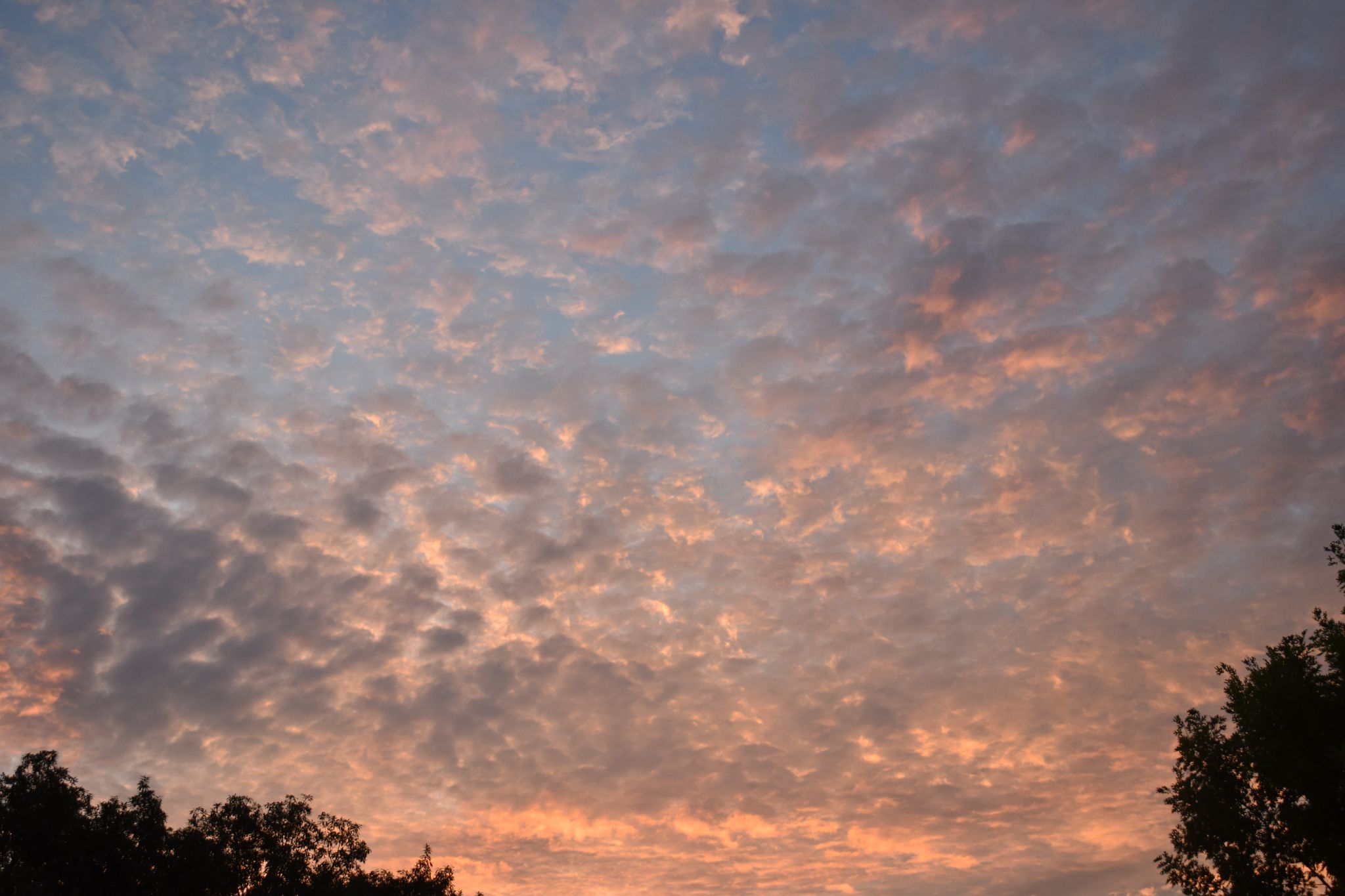 Community photo entitled Summer sunrise by James Gaulding on 07/11/2024 at Seguin, Texas, U.S.A.