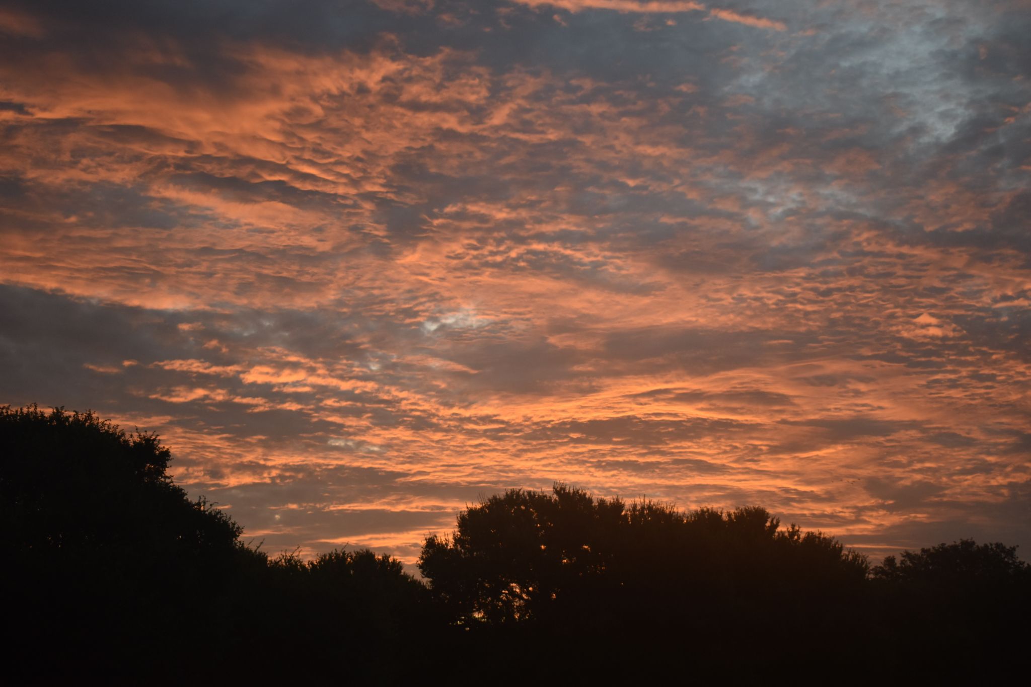 Community photo entitled Enchanted Morning by James Gaulding on 07/12/2024 at Seguin, Texas, U.S.A.