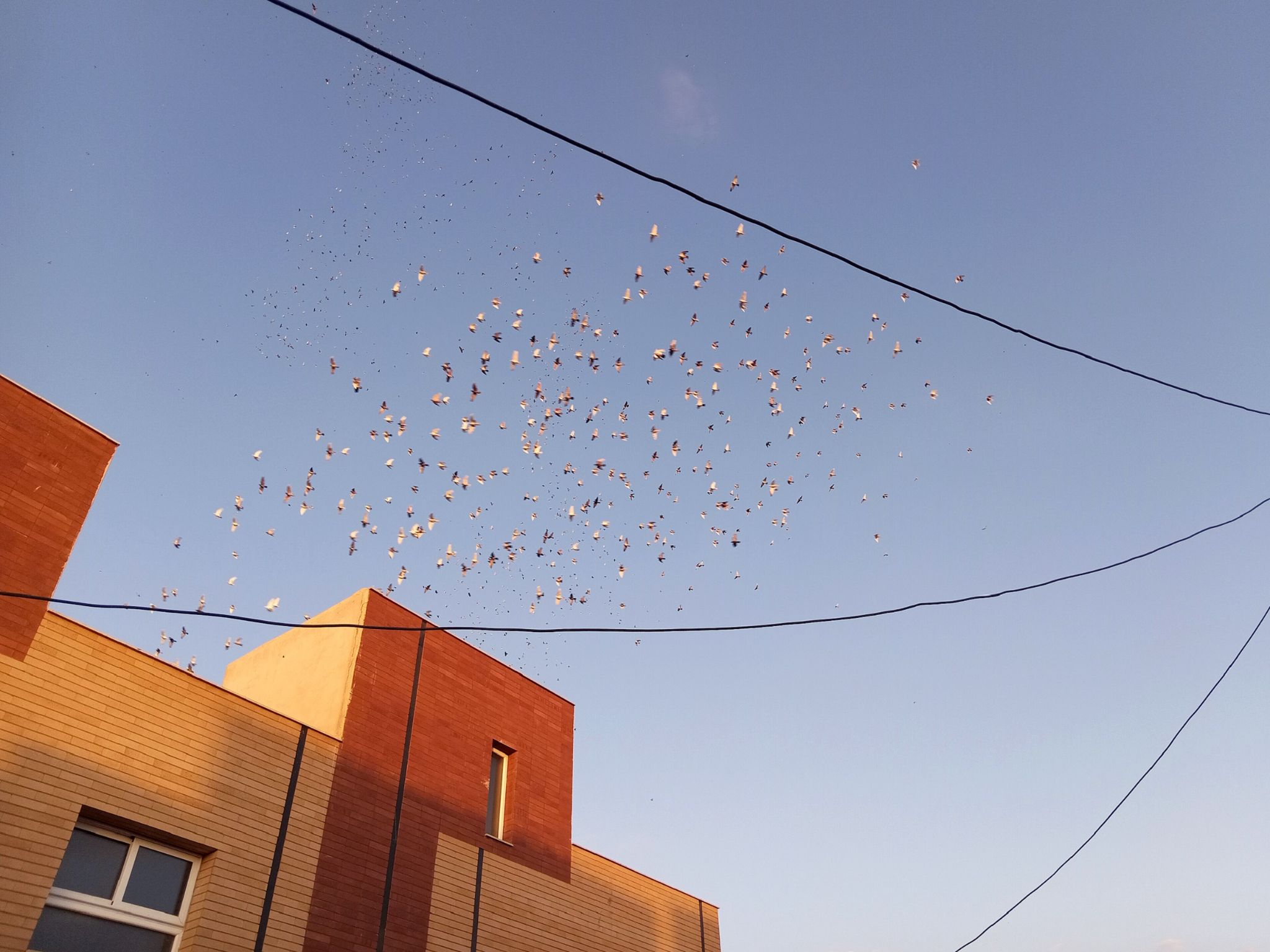 Community photo entitled  by Hassan Dadashi . Arani on 07/04/2024 at Esfahan province. Iran