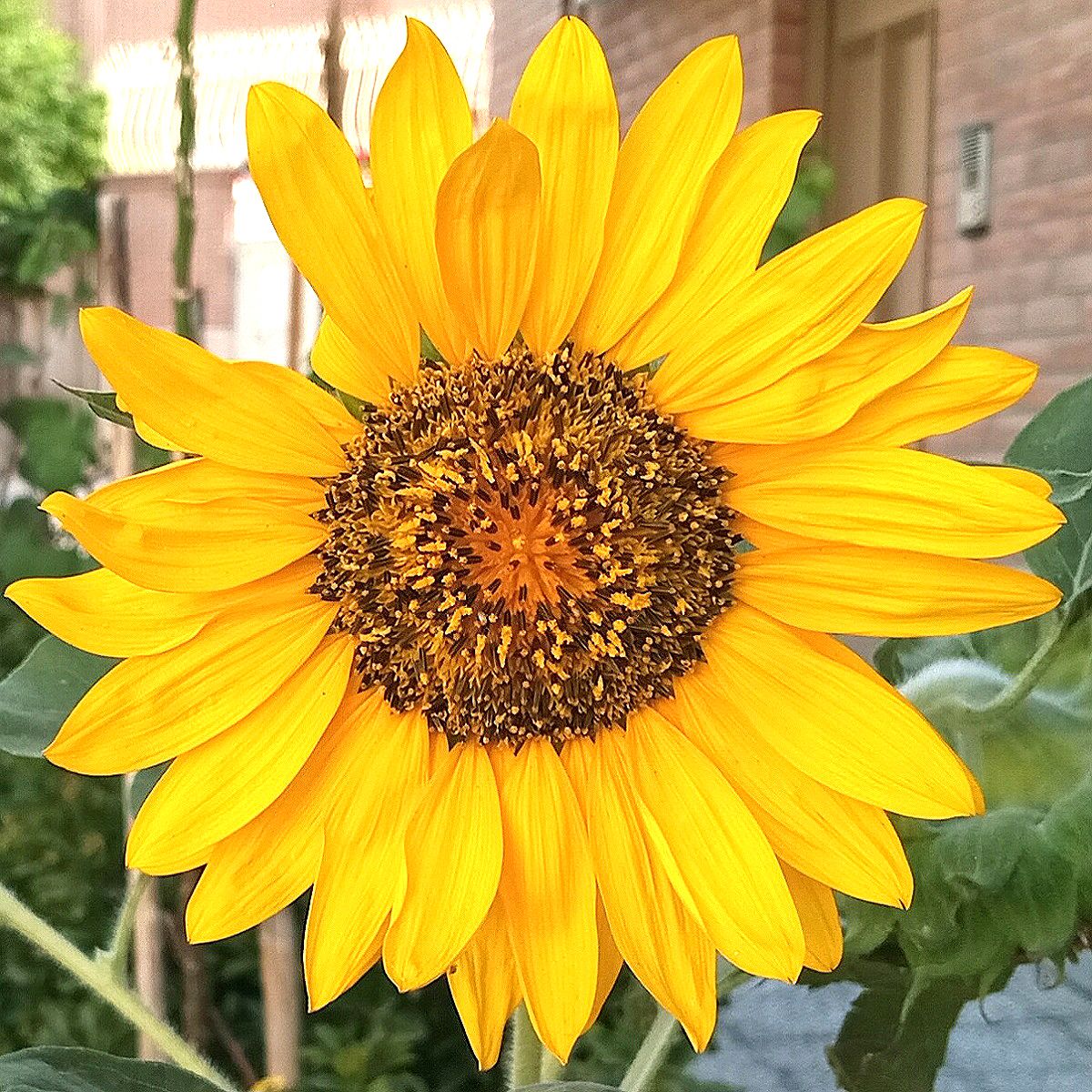 Community photo entitled  by Hassan Dadashi . Arani on 07/26/2024 at Esfahan province. Iran