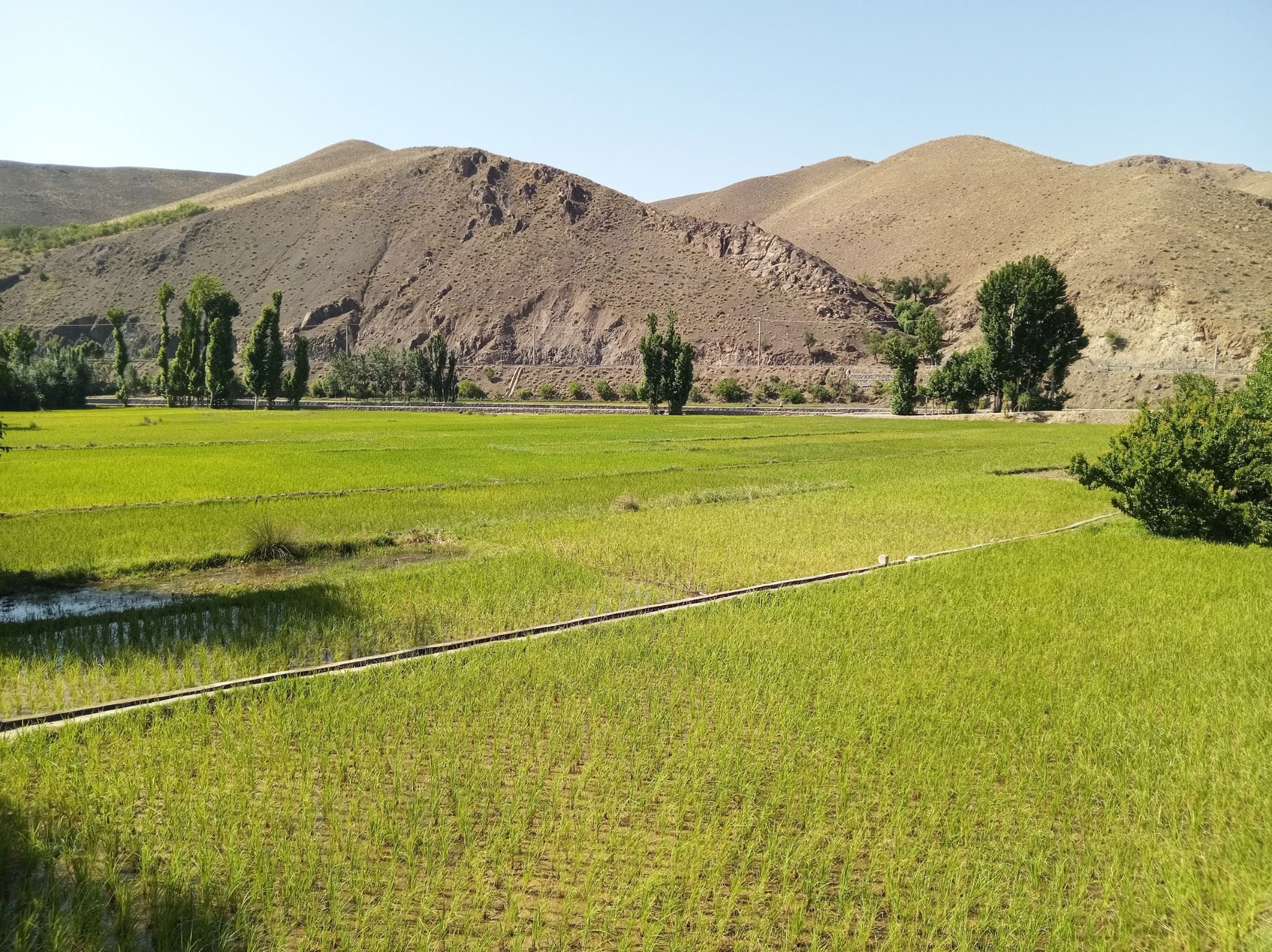 Community photo entitled  by Hassan Dadashi . Arani on 07/28/2024 at Esfahan province. Iran