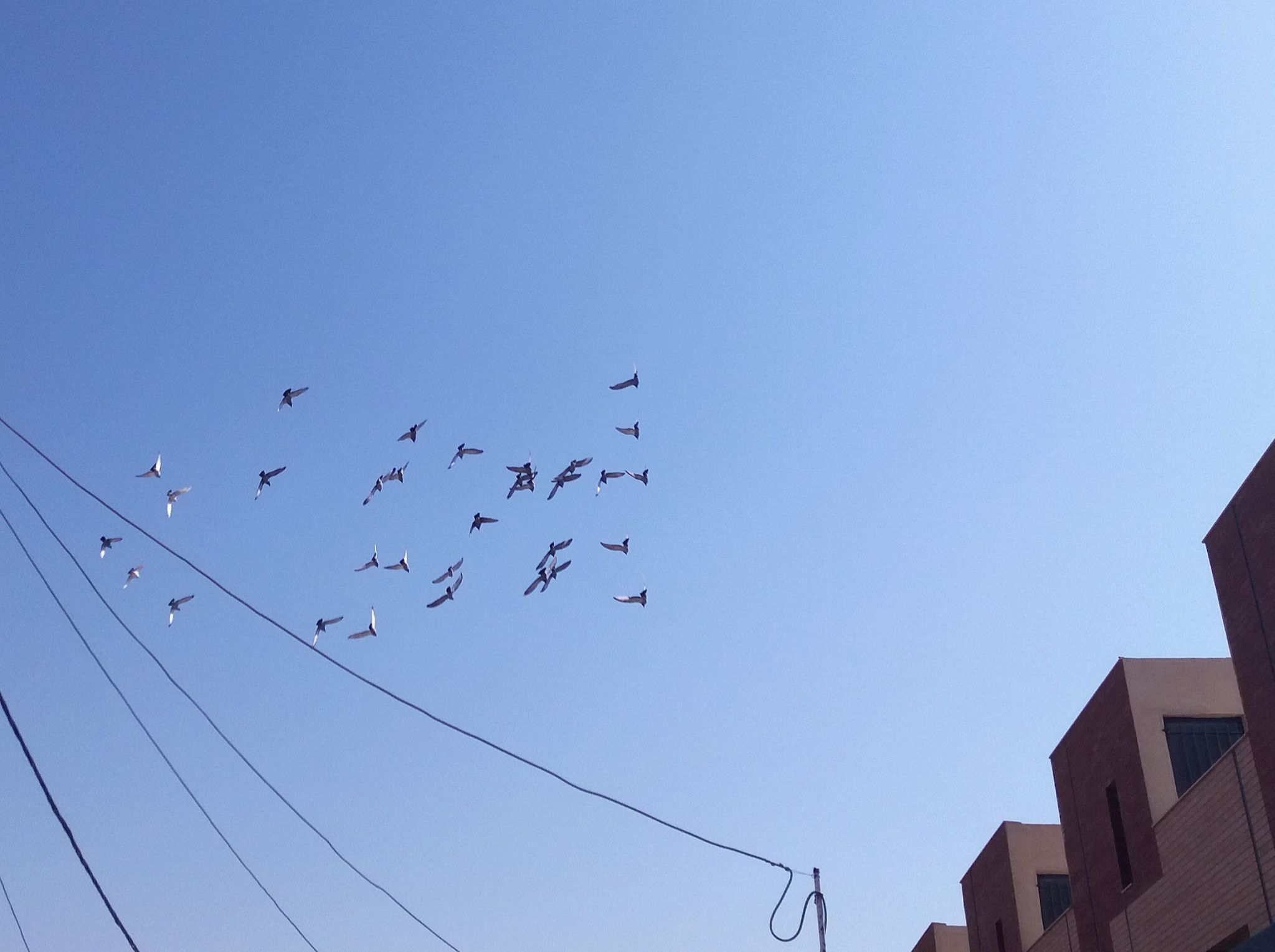 Community photo entitled  by Hassan Dadashi . Arani on 07/30/2024 at Esfahan province. Iran