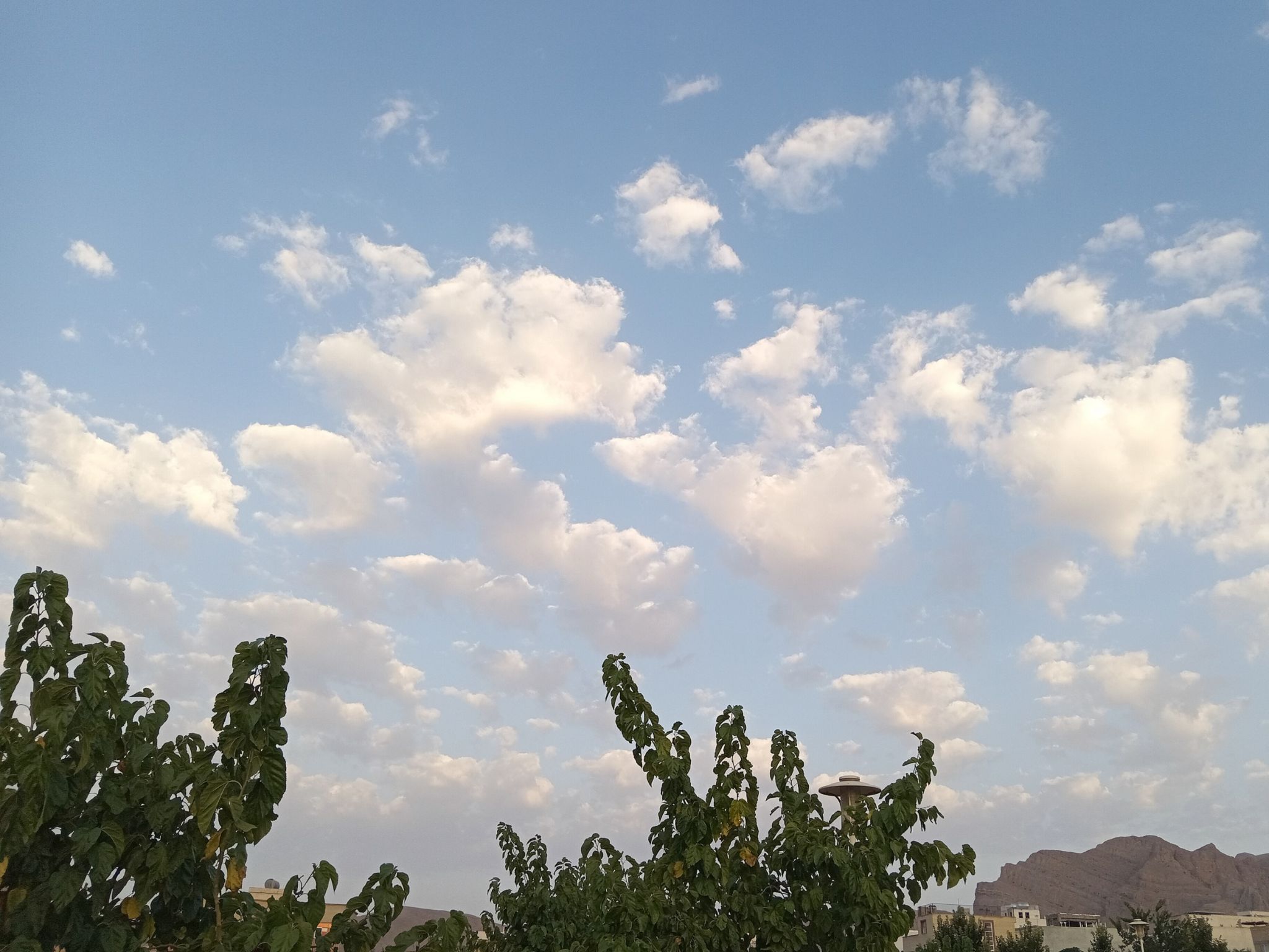 Community photo entitled  by Hassan Dadashi . Arani on 07/30/2024 at Esfahan province. Iran