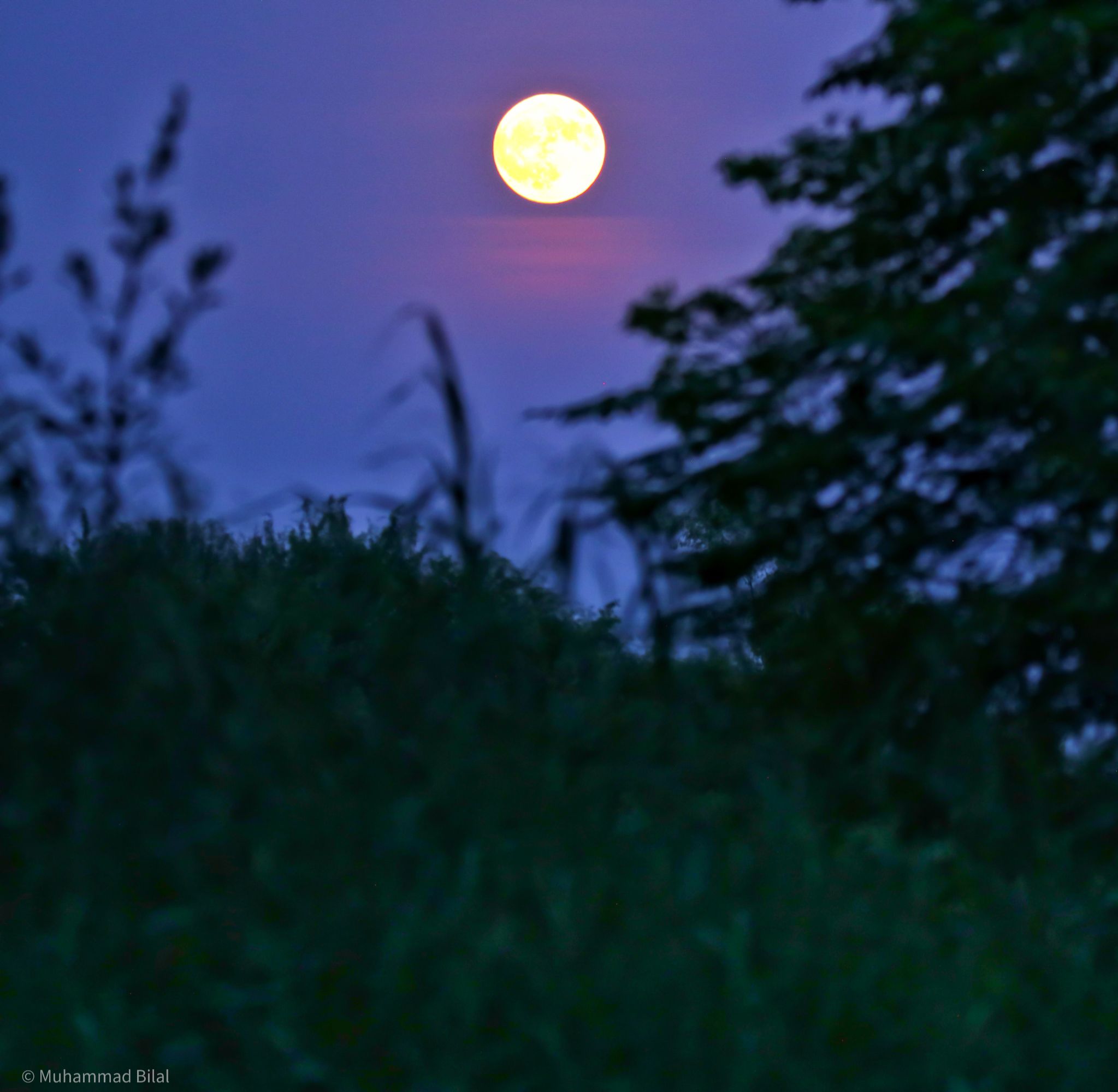 Community photo entitled Rising of Super Blue Moon in Twilight by Muhammad Bilal on 08/20/2024 at Talagang, Punjab