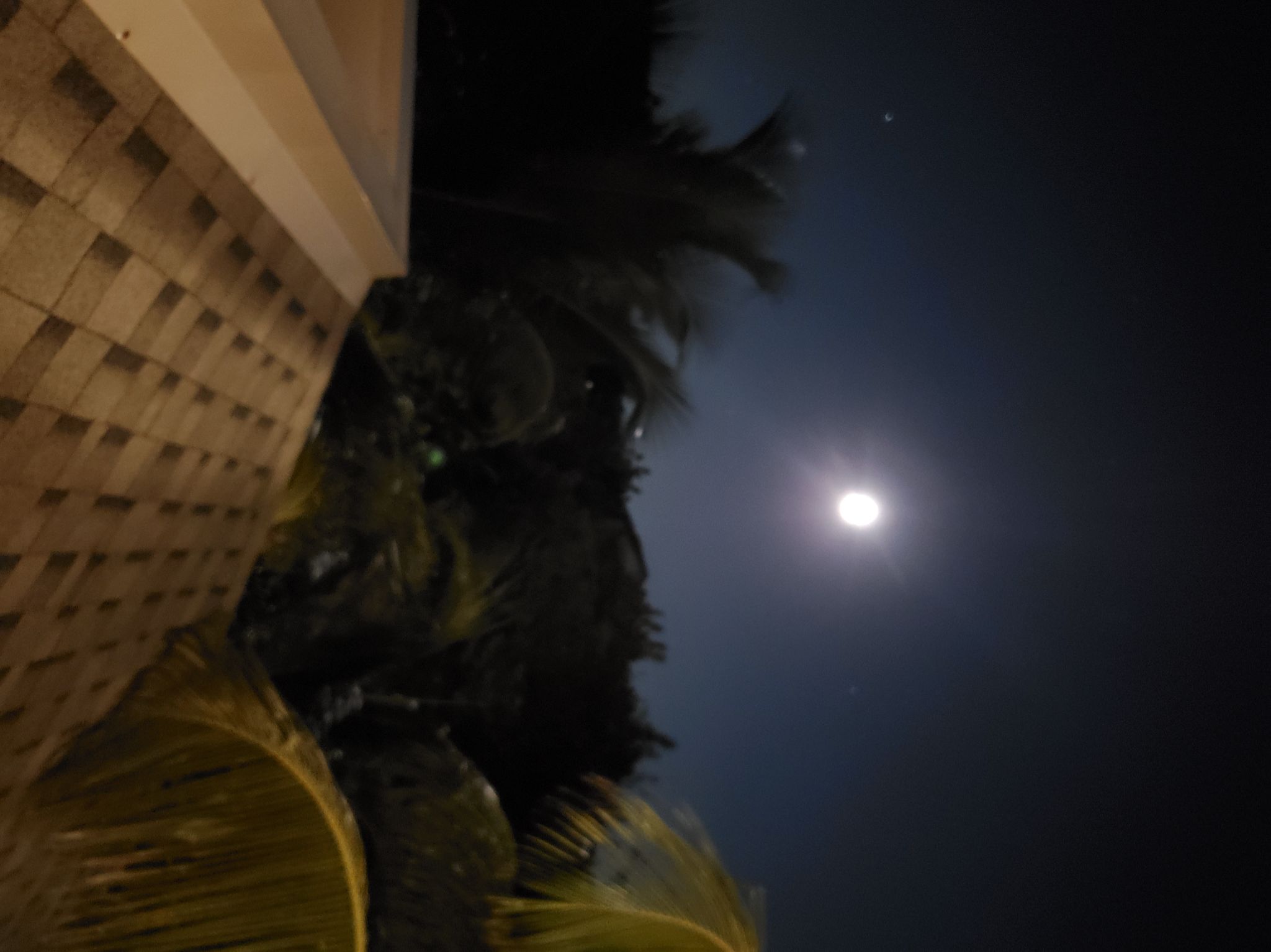 Community photo entitled Full Moon in Cuba by Ted Downey on 11/30/2023 at Cao Santa Maria, Cuba