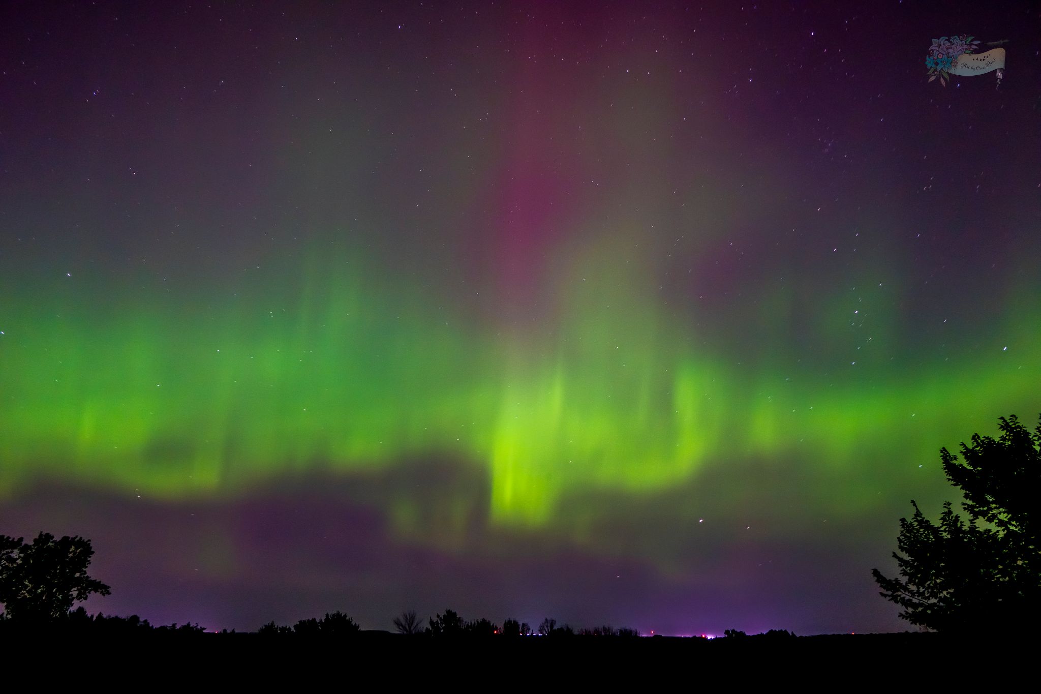 Community photo entitled Aurora Dragon by Diane Rains on 08/01/2024 at Hudson, WI