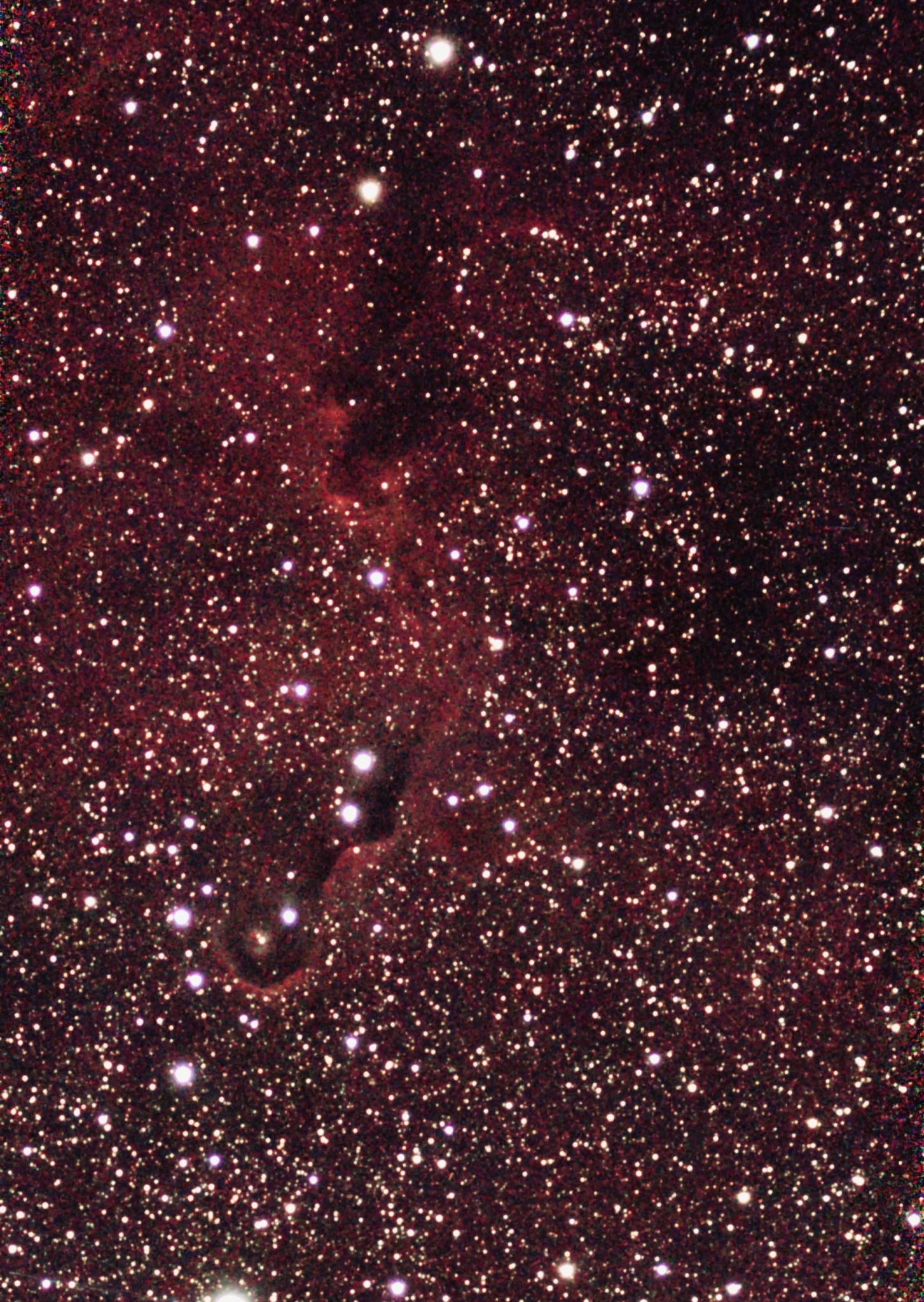 Community photo entitled Elephant Trunk Nebula by Fred Holman on 08/08/2024 at Contoocook. New Hampshire, USA