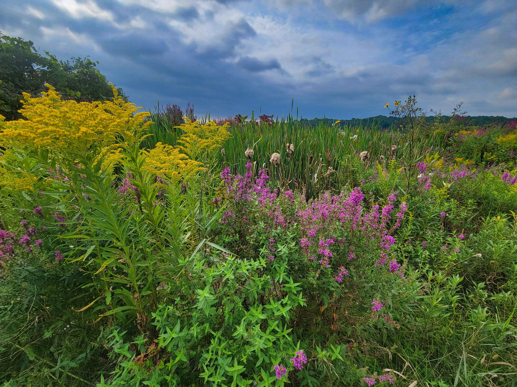 Community photo entitled Earth & Sky by Lorraine Boyd on 08/28/2024 at Westerlo, New York