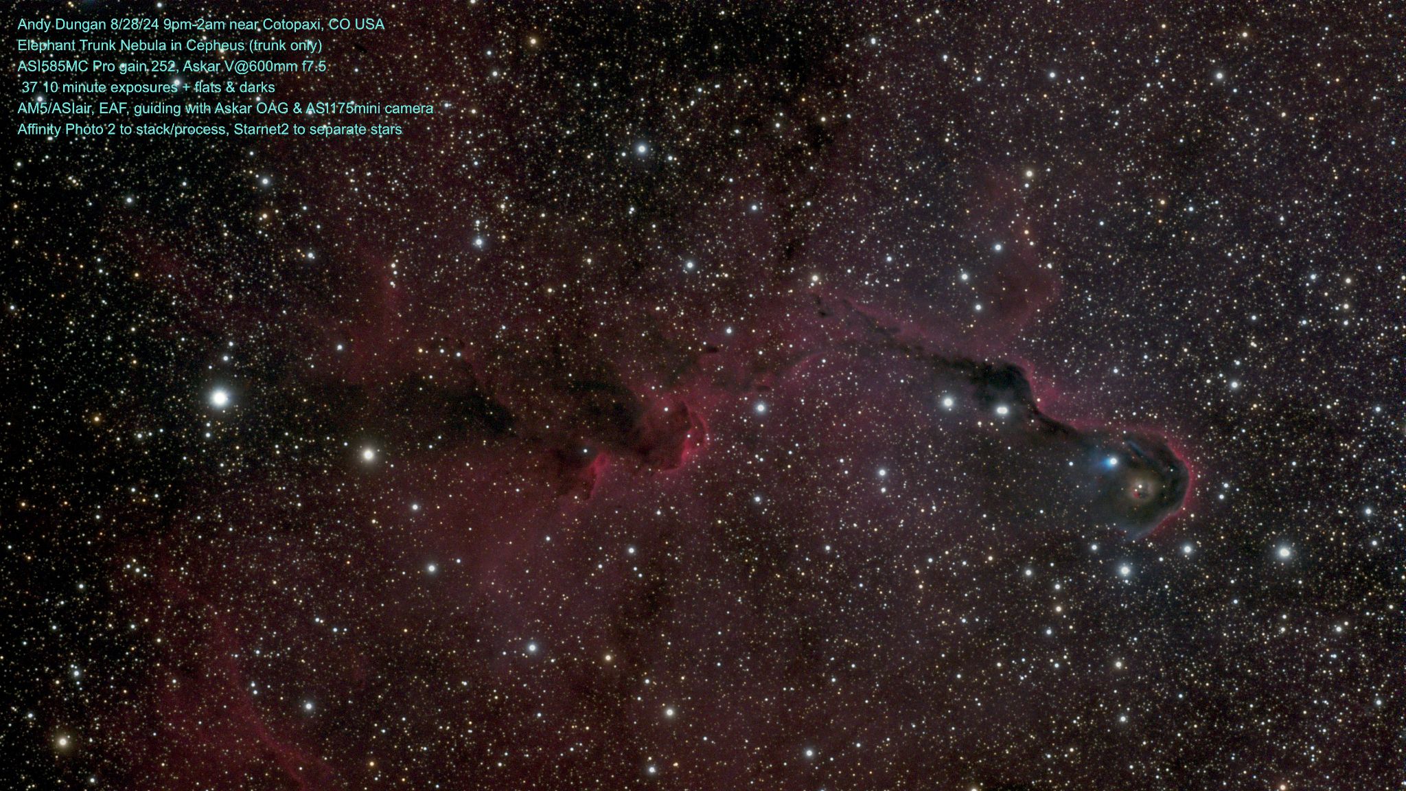 Community photo entitled Trunk of the Elephant Trunk Nebula in Cepheus  2400 lys away! by Andy Dungan on 08/31/2024 at Near Cotopaxi, CO USA