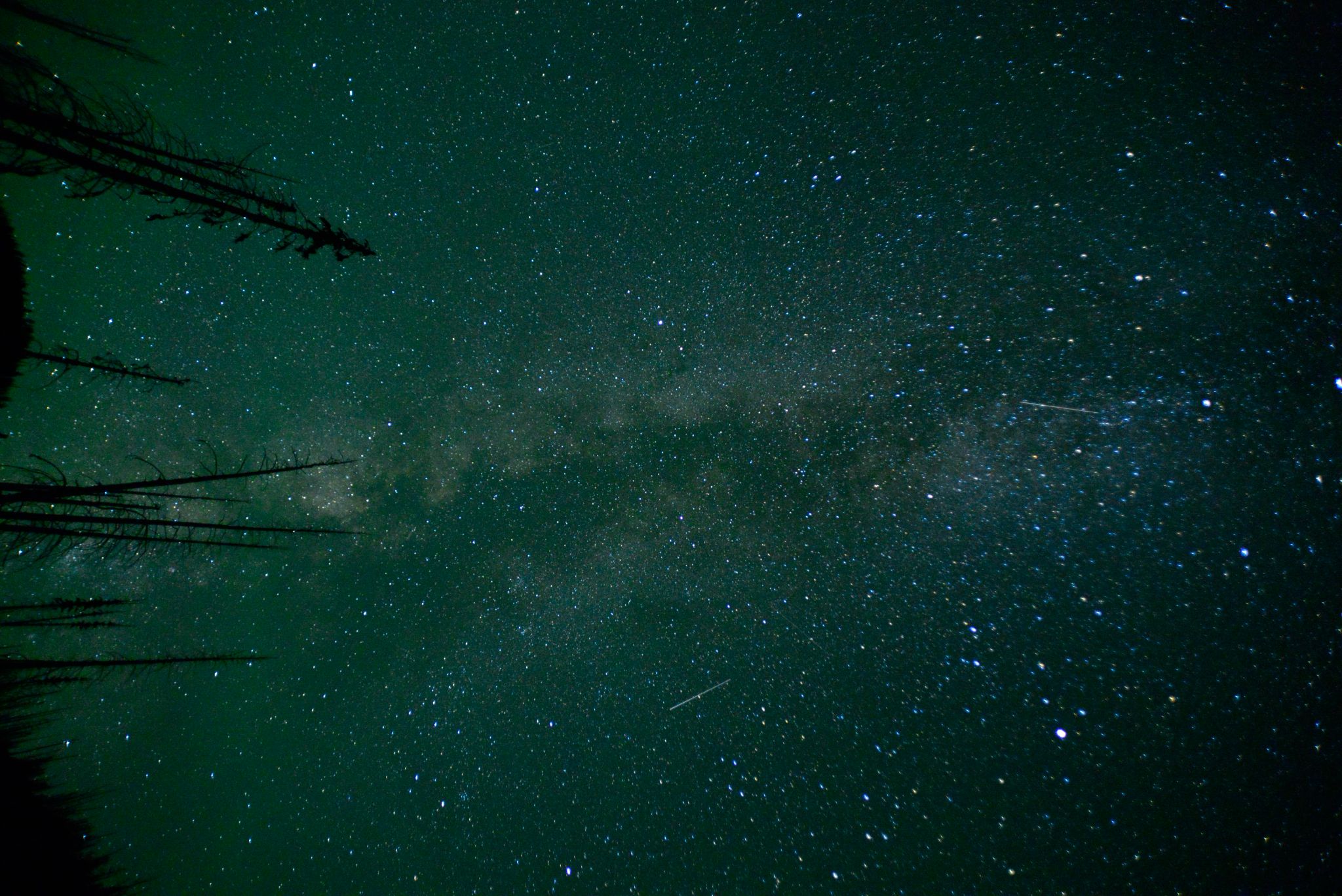 Community photo entitled Pasayten Wilderness Milky Way and Perseid Meteors by Daniel Arnold on 08/01/2024 at Pasayten Wilderness, Washington