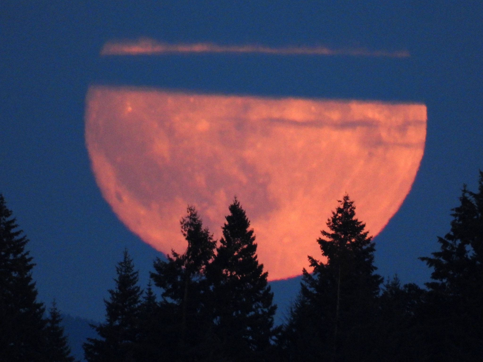 Community photo entitled Half A Moon On Full Moon Eve by Cecille Kennedy on 08/19/2024 at Monroe, Oregon