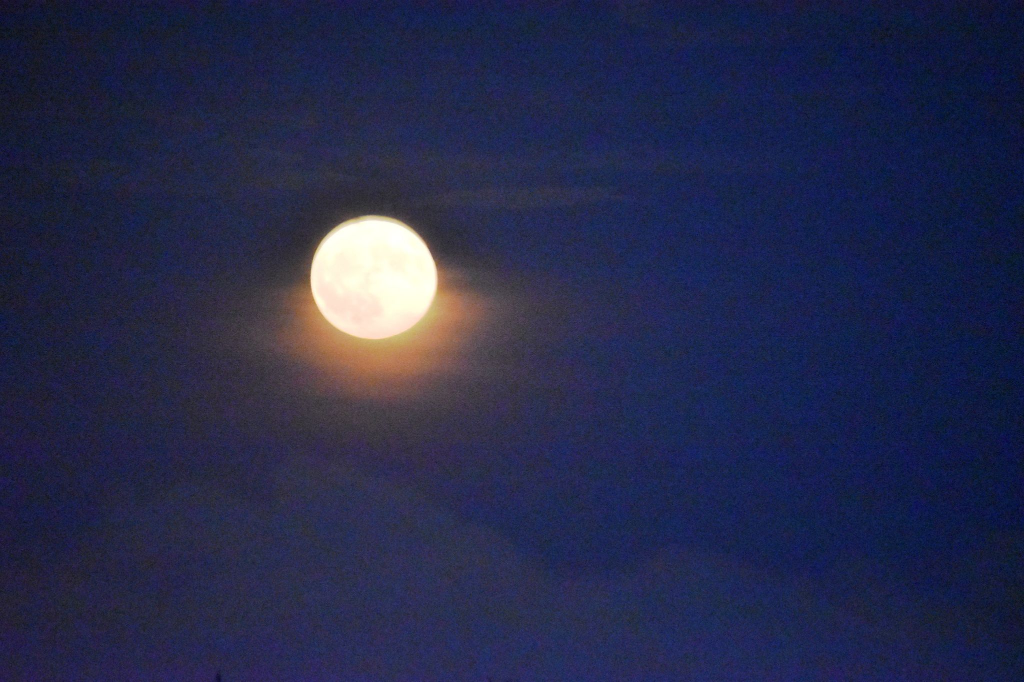 Community photo entitled Sturgeon Full Moon by Mickey Walters on 08/19/2024 at NEWPORT, RHODE ISLAND, USA