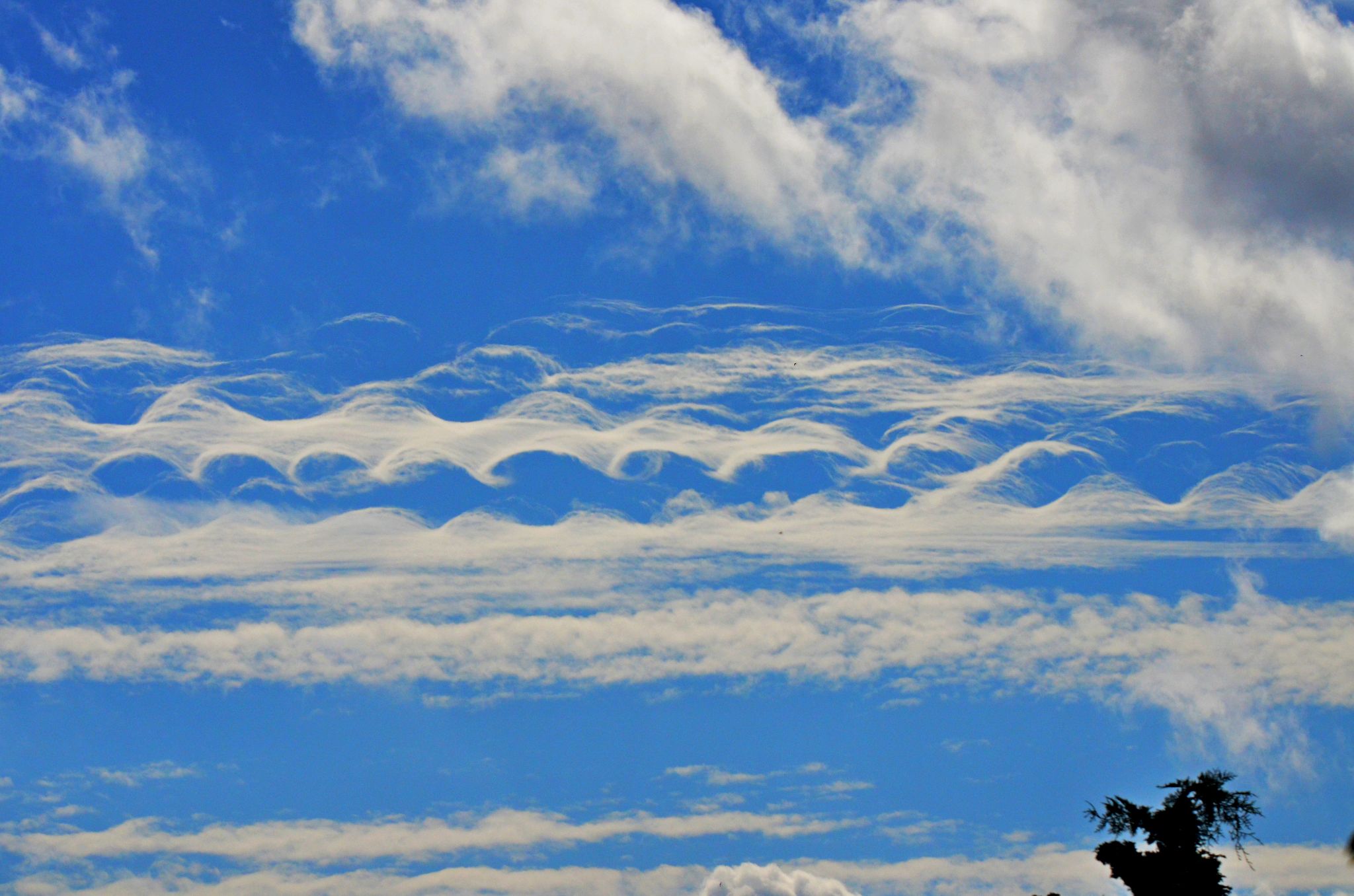 Community photo entitled Change in the Weather by Jone Palmquist on 08/18/2024 at Eugene, Oregon