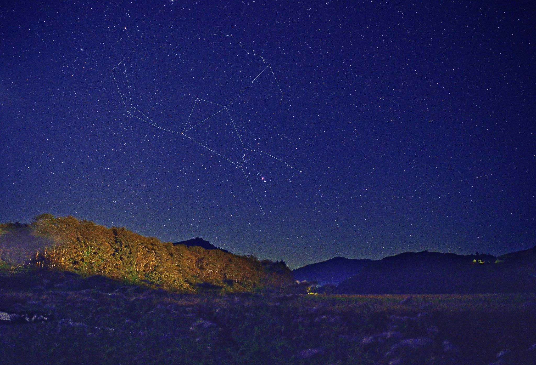 Community photo entitled Orion Rising by Cecille Kennedy on 08/29/2024 at Alder Island Nature Trail, Oregon