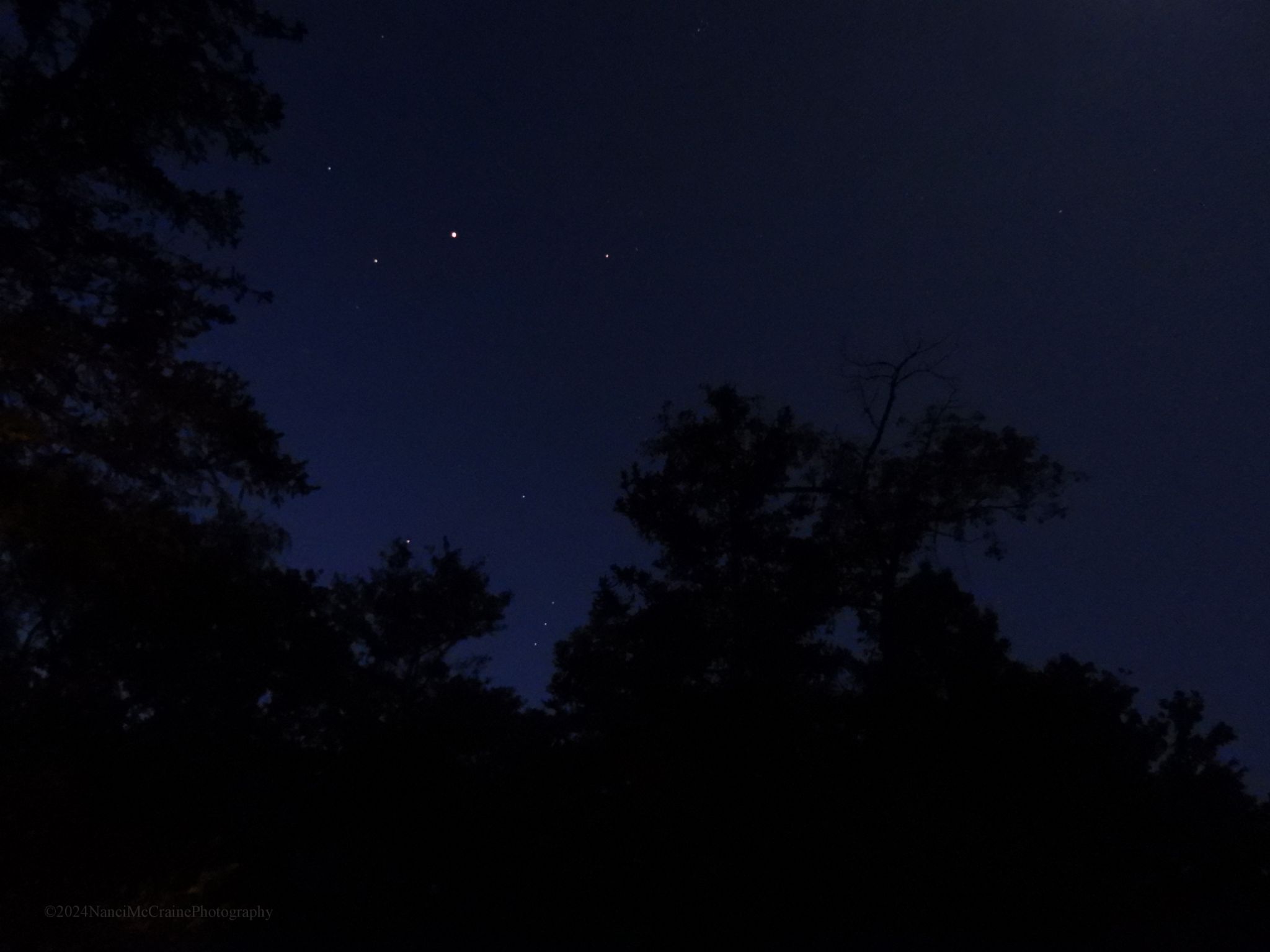 Community photo entitled Jupiter, Mars and Eastern sky by Nanci McCraine on 08/24/2024 at Dryden NY USA