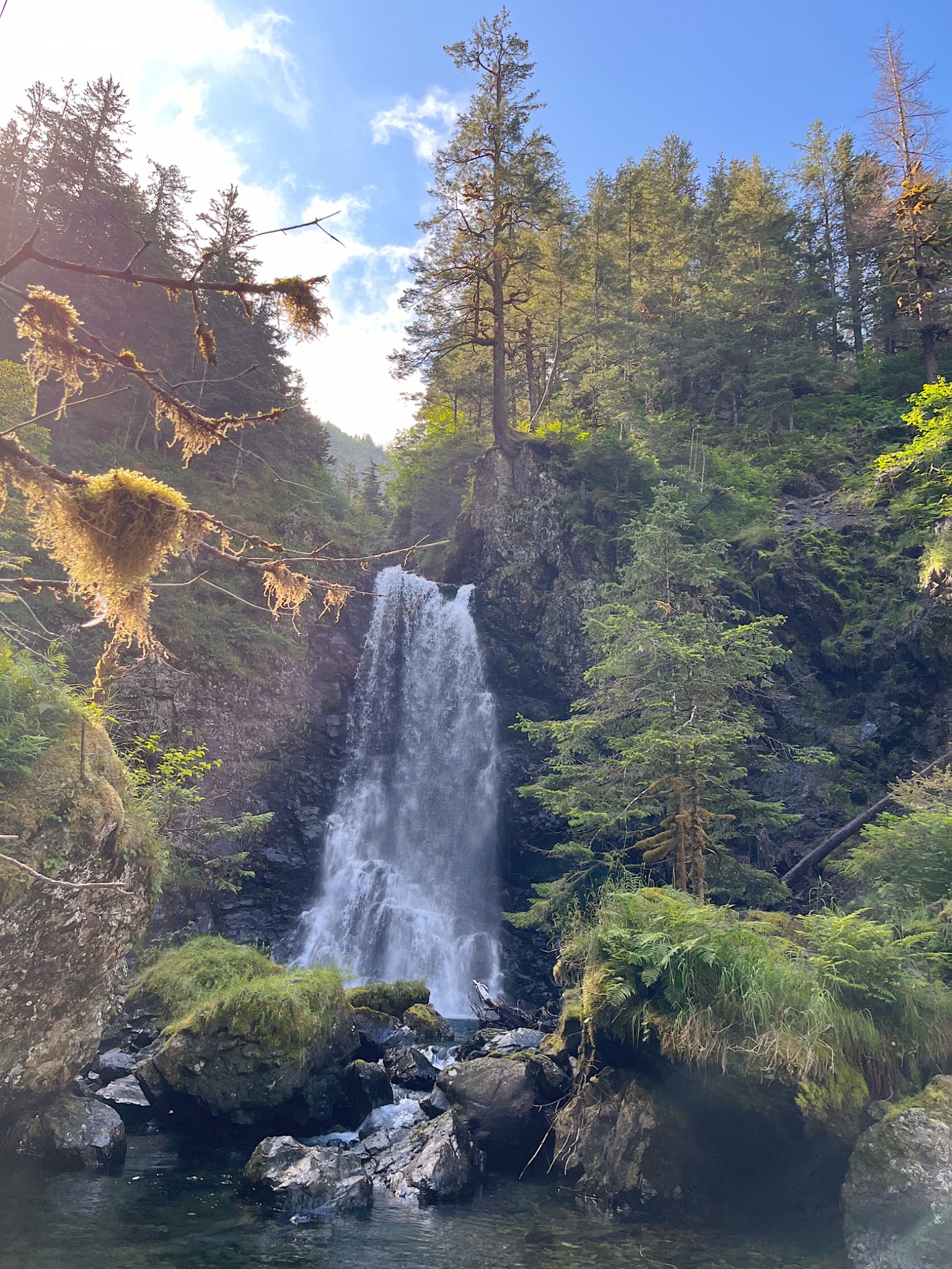 Community photo entitled  by Ailee Farey on 08/05/2024 at Kenai Peninsula, AK