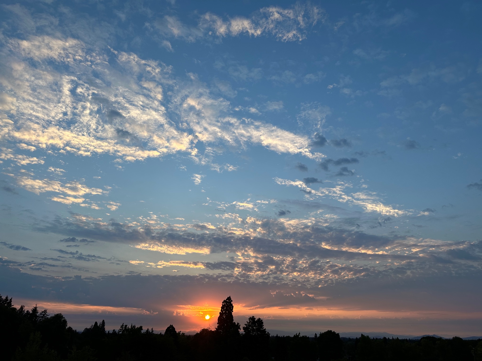 Community photo entitled  by Victoria Bryhan on 08/17/2024 at Corvallis, Oregon