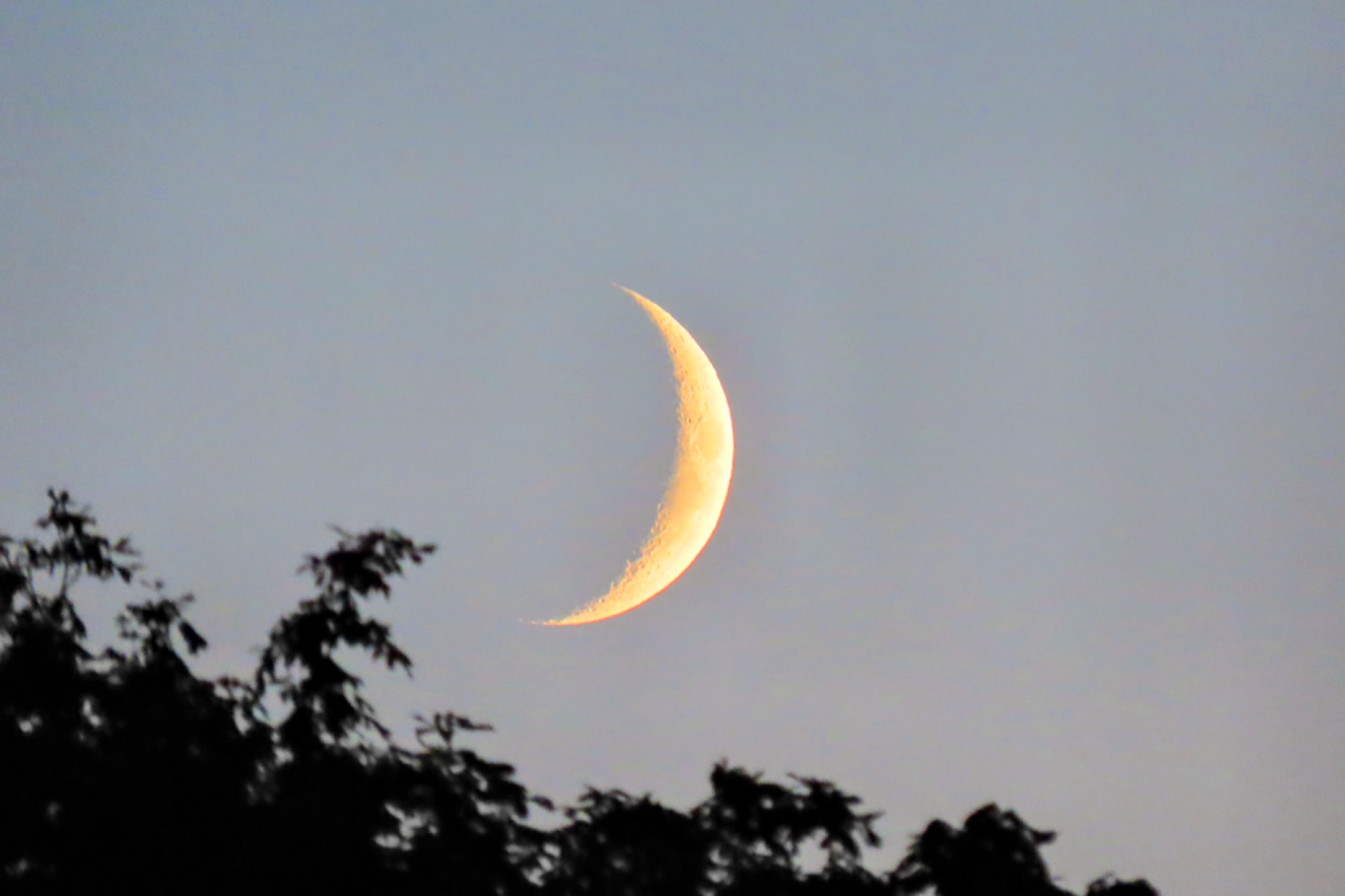 Community photo entitled The waxing crescent 🌙 by Joe O Brien on 08/08/2024 at Cork Ireland