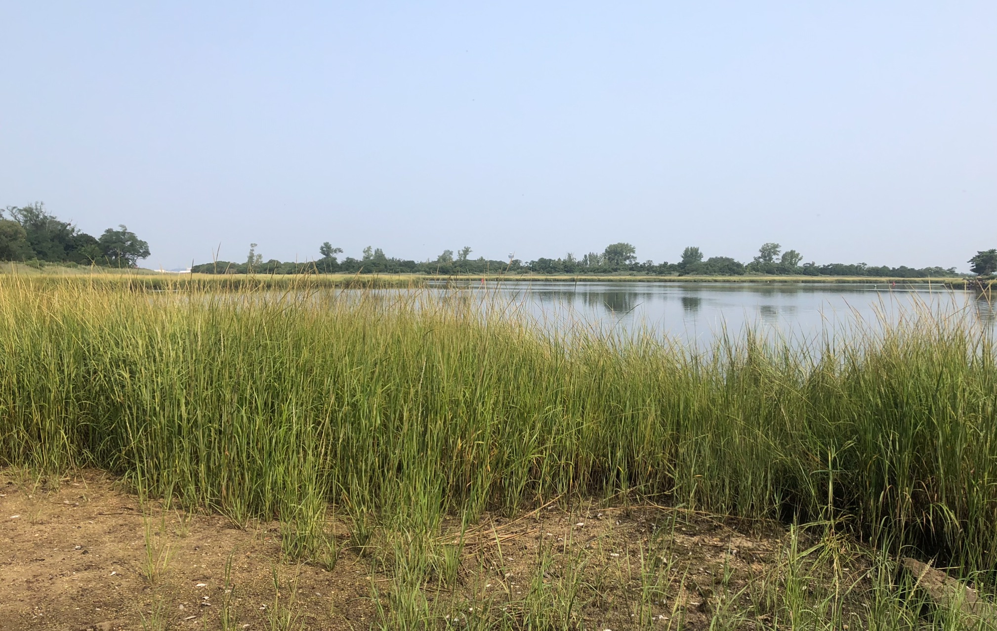 Community photo entitled Jamaica Bay by Mike Barnett on 08/16/2024 at Queens, NY, USA