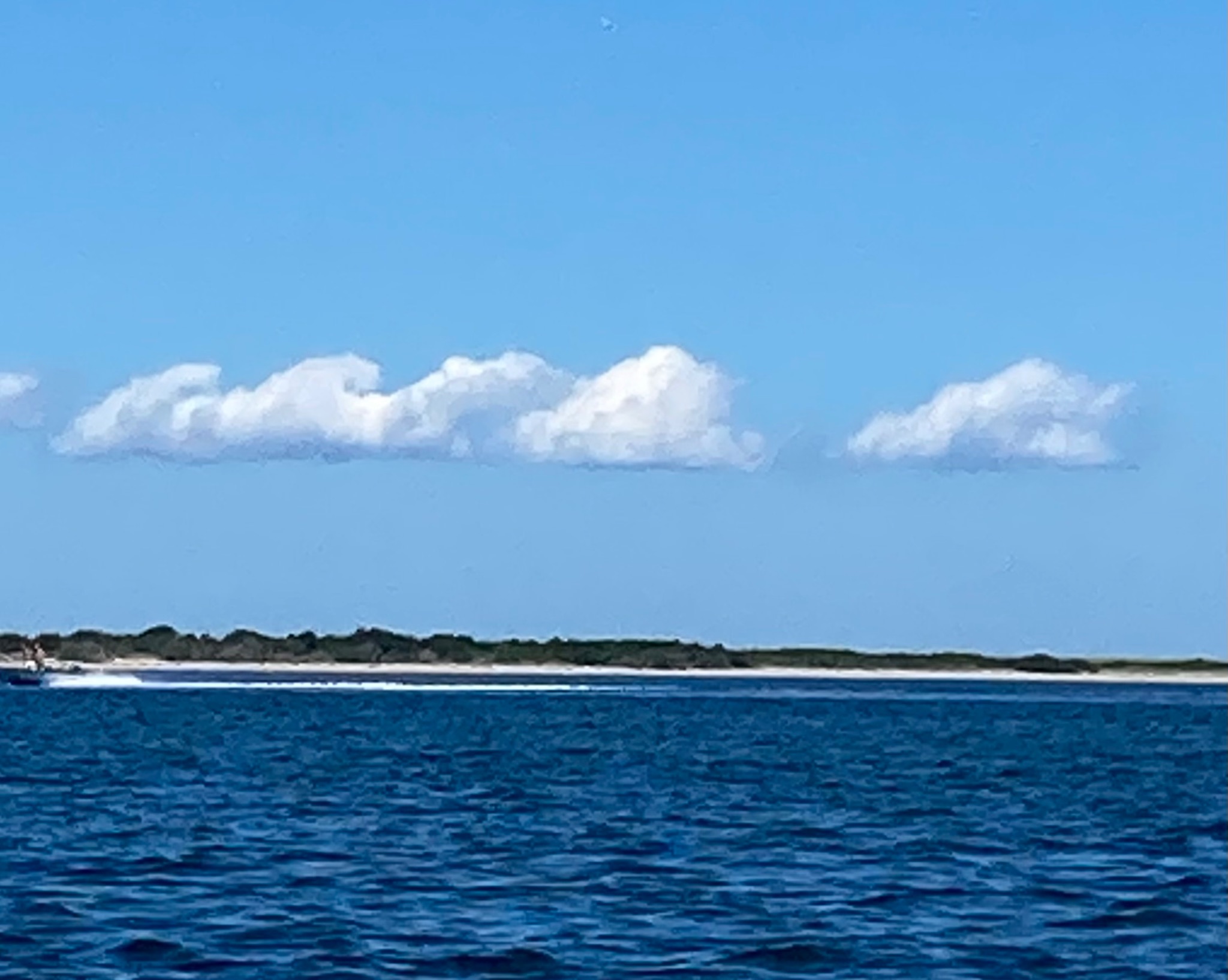 Community photo by Rain Harbison | Nantucket