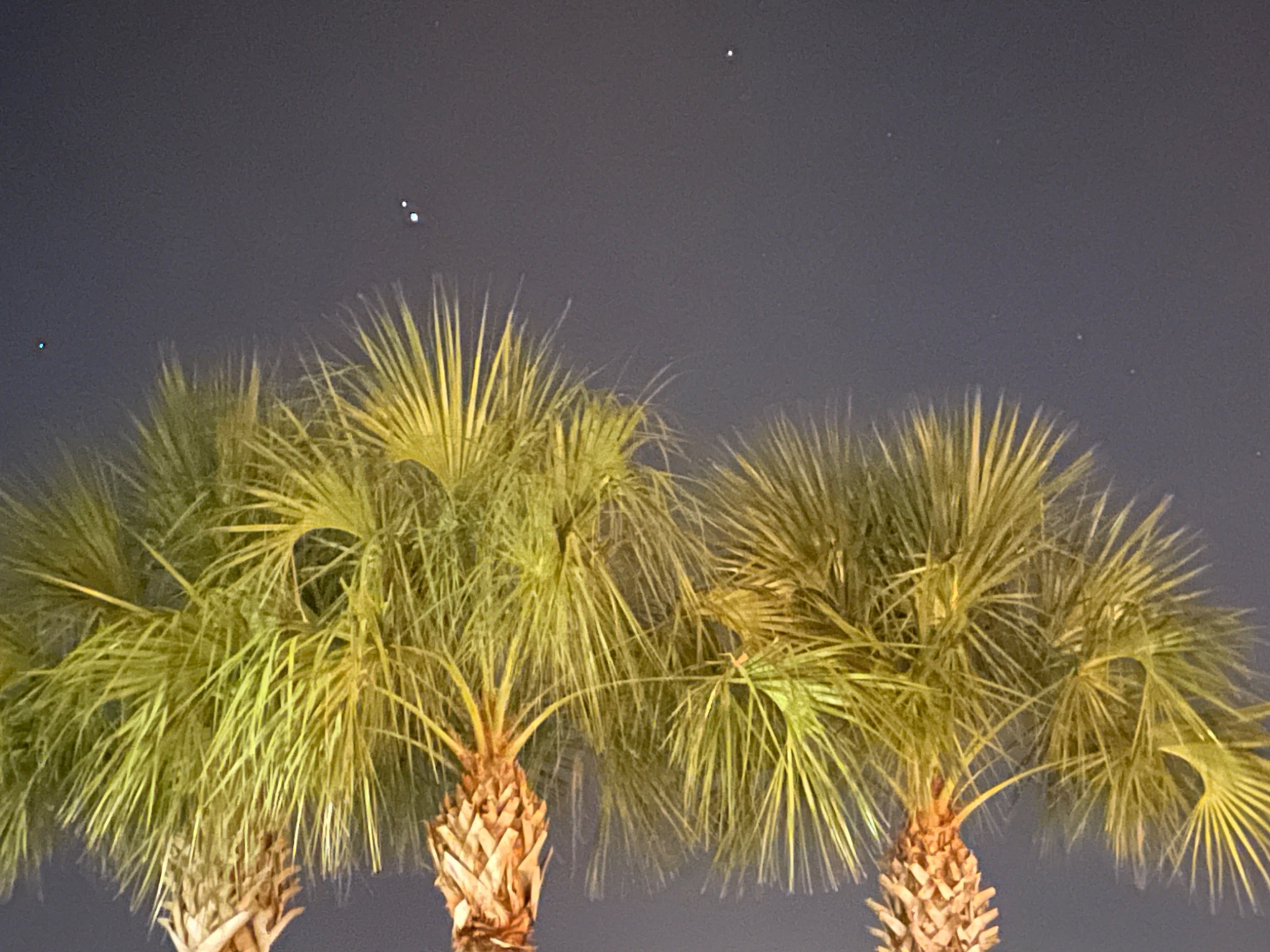 Community photo entitled Jupiter - Mars conjunction from Cape Coral. by James Figge on 08/14/2024 at Cape Coral, FL