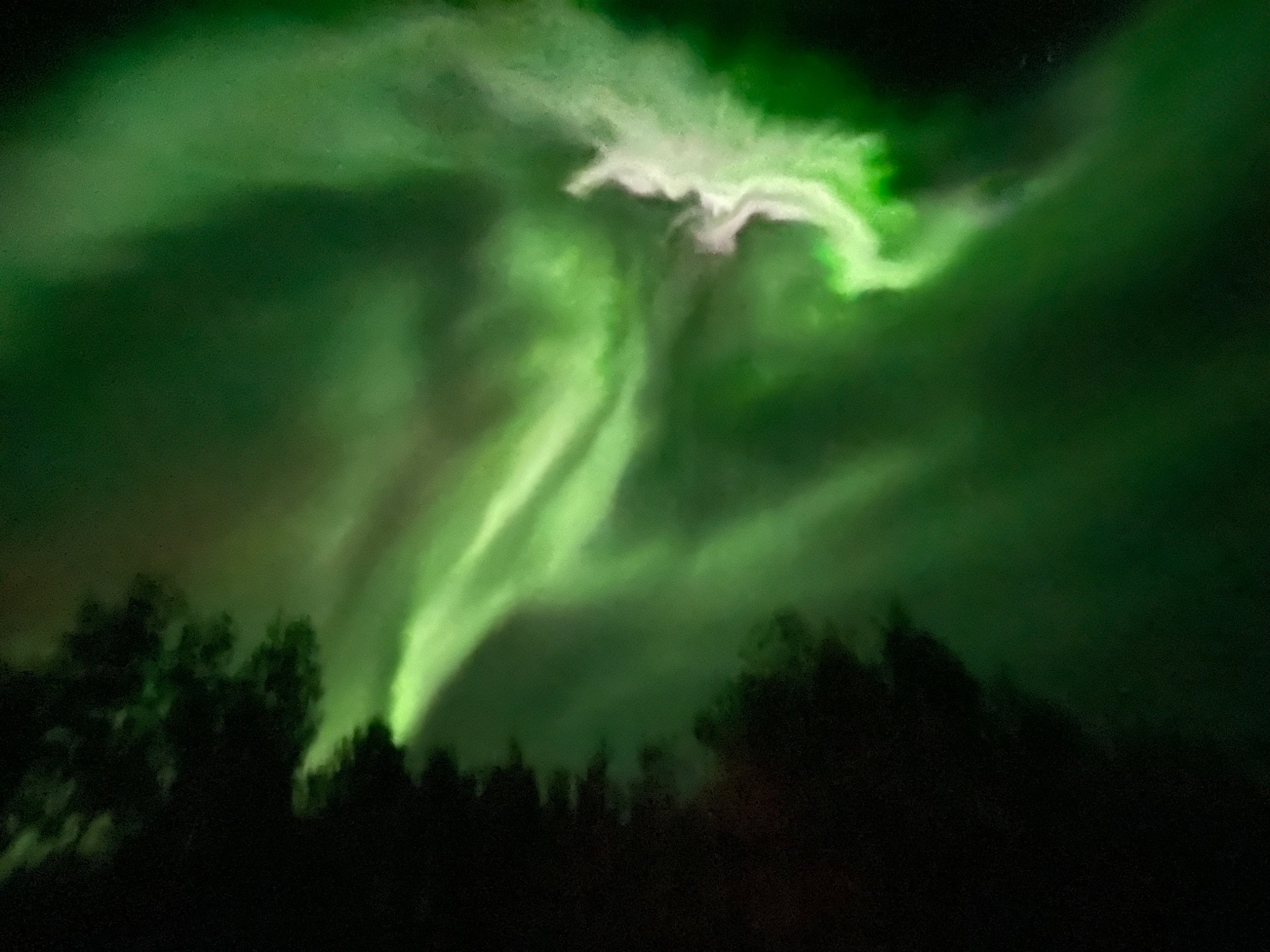 Community photo entitled BC Northern Lights by Adam Boyd on 08/30/2024 at Cecil Lake, BC, Canada