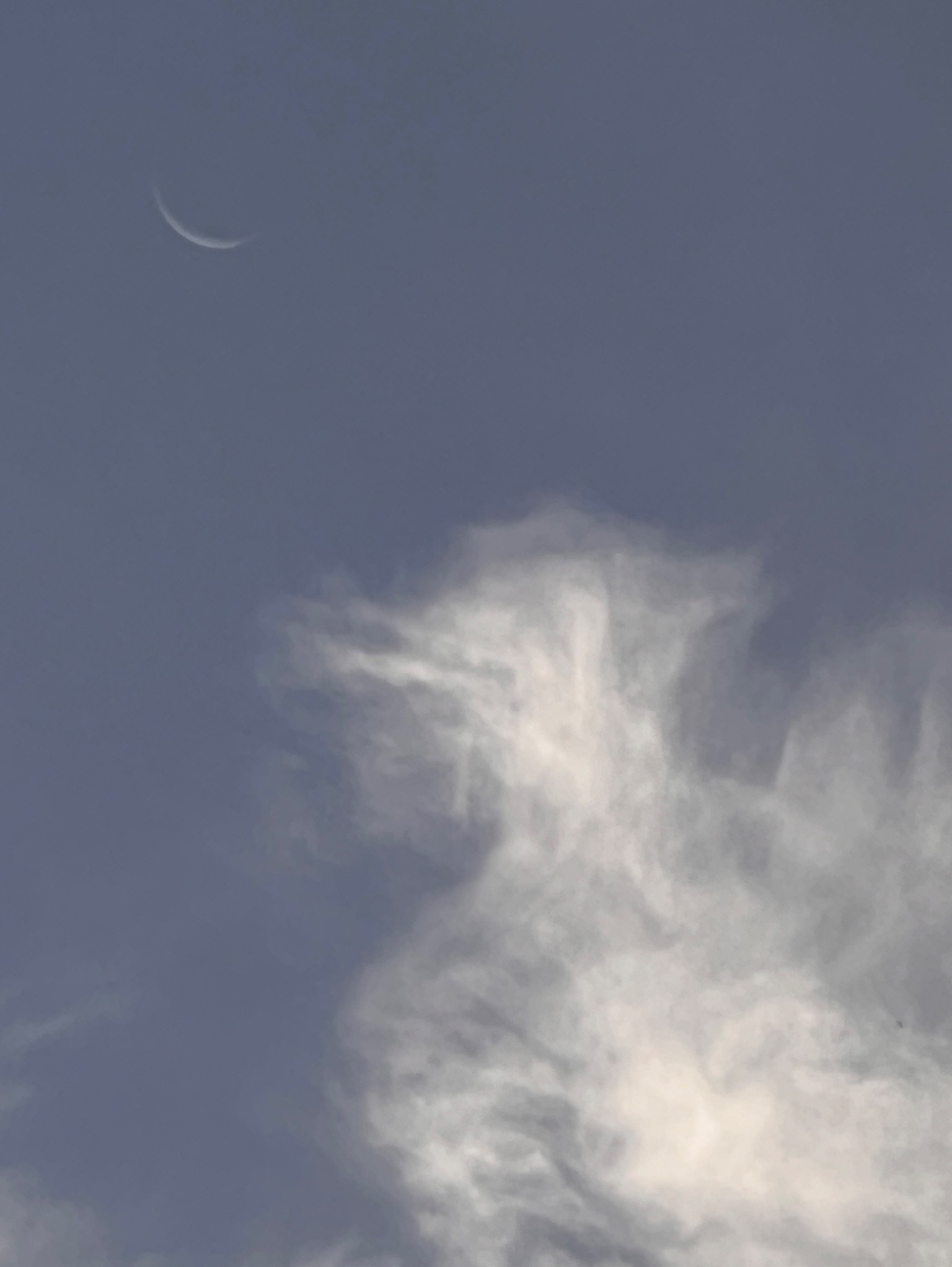 Community photo entitled Crescent moon and Ghost Cloud!:) by Sudhir Sharma on 08/01/2024 at Stormville, NY