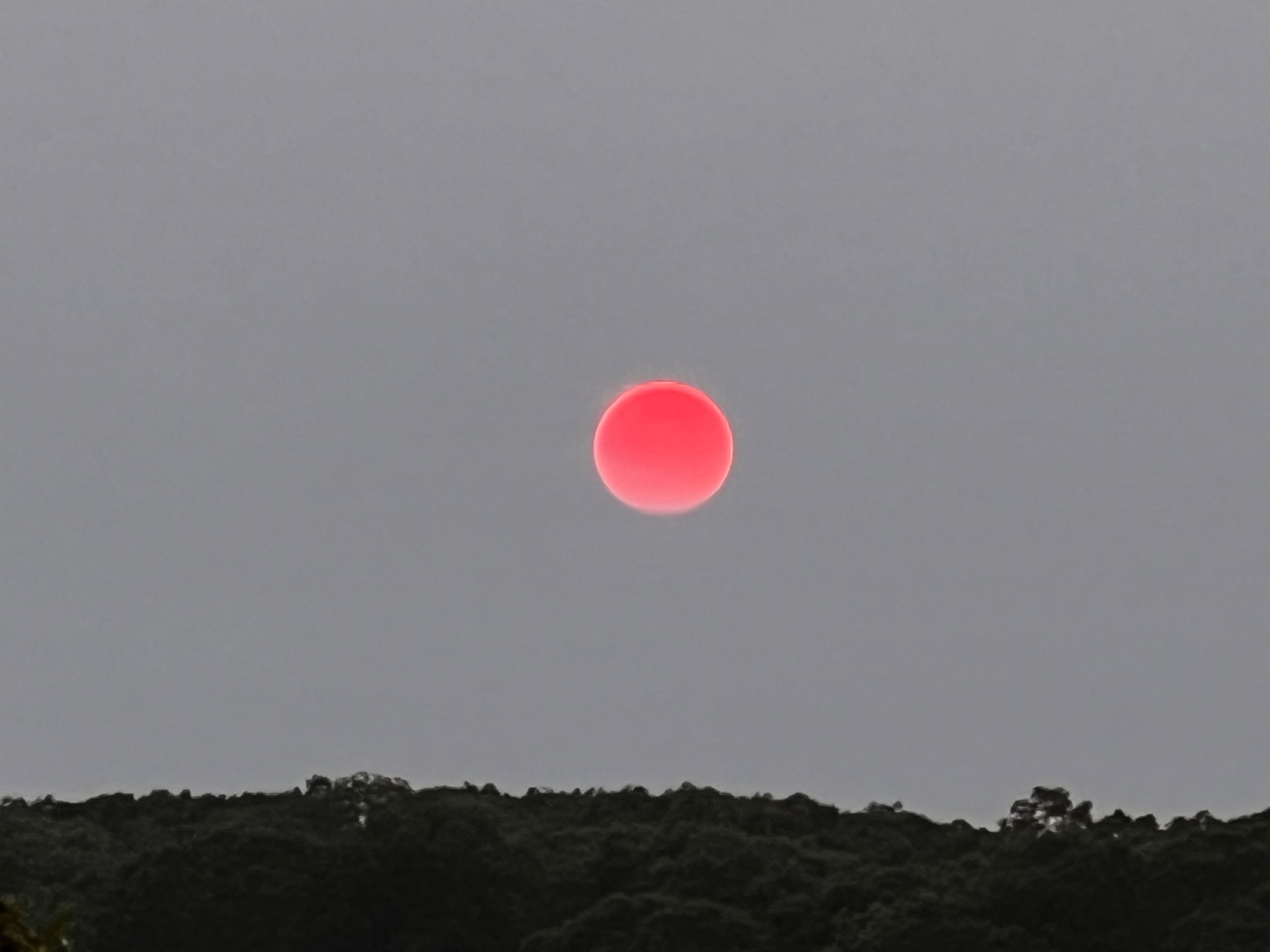 Community photo by Sudhir Sharma | Cutchogue, Long Island, NY