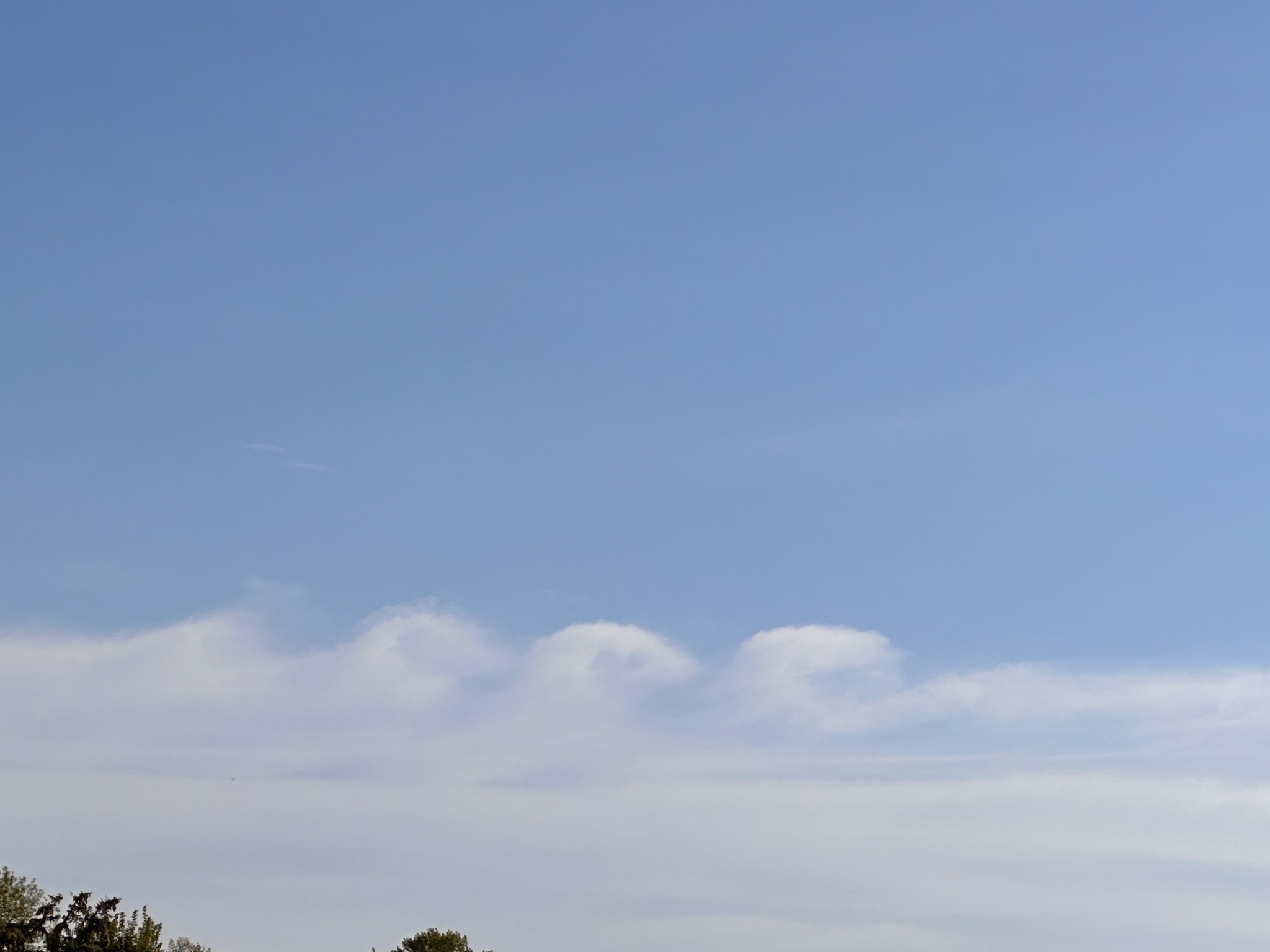 Community photo entitled Waves of Clouds by Rena Langowski on 08/22/2024 at Austin, MN