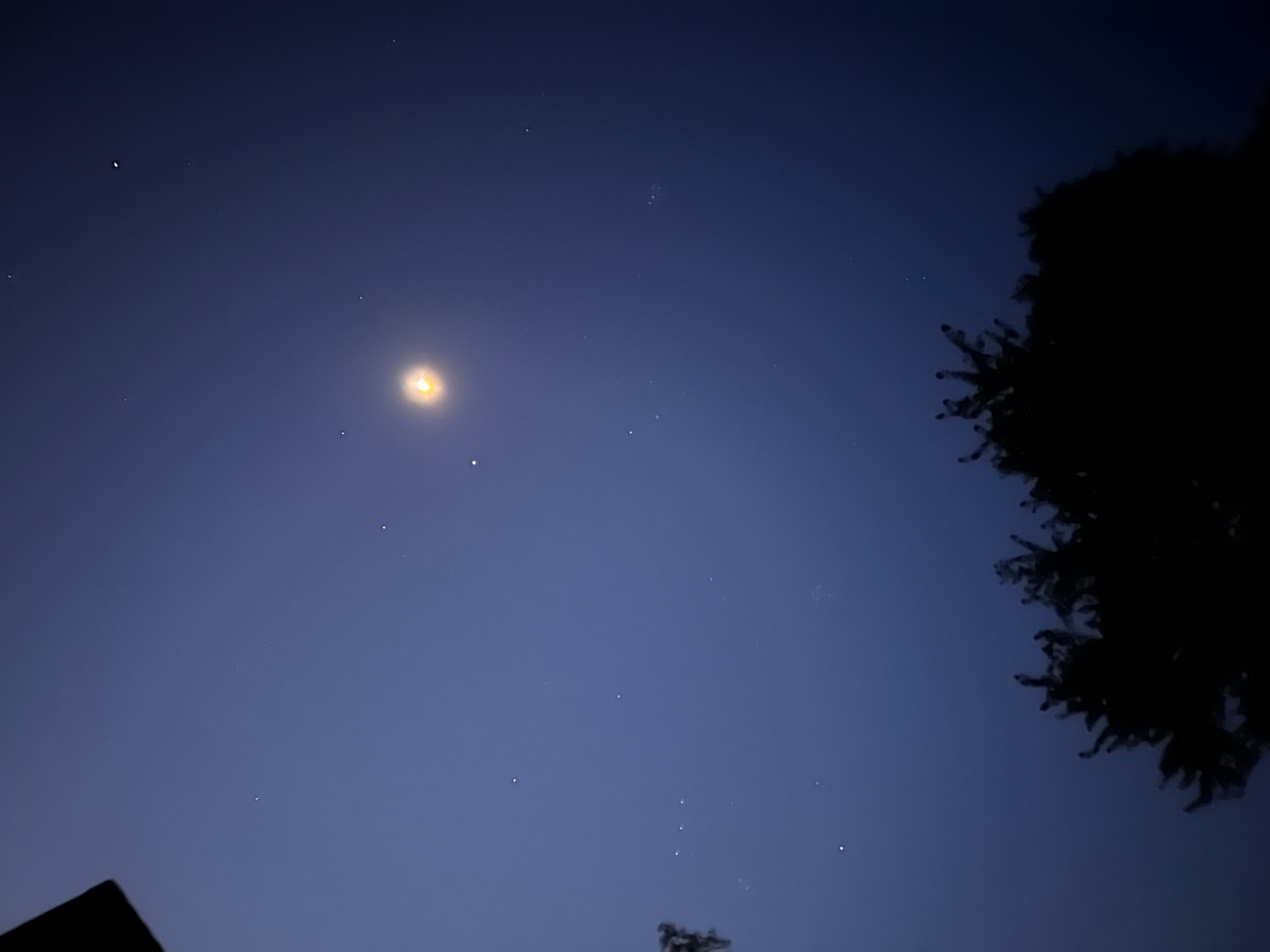 Community photo entitled Conjunction of Moon, Jupiter, Mars and Elnath by Sudhir Sharma on 08/27/2024 at Stormville, NY