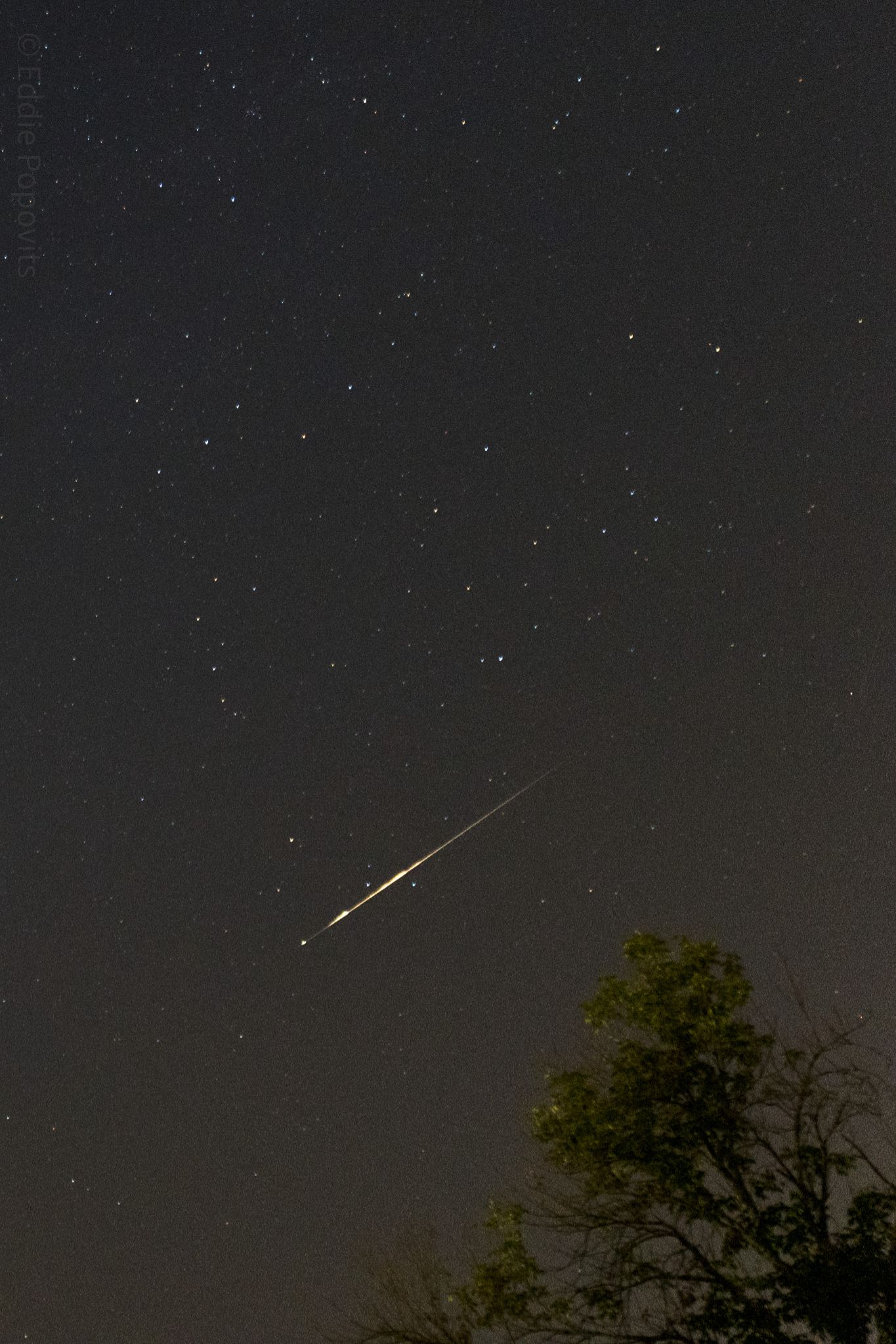 Community photo entitled Perseid by Eddie Popovits on 08/01/2024 at Branson Missouri