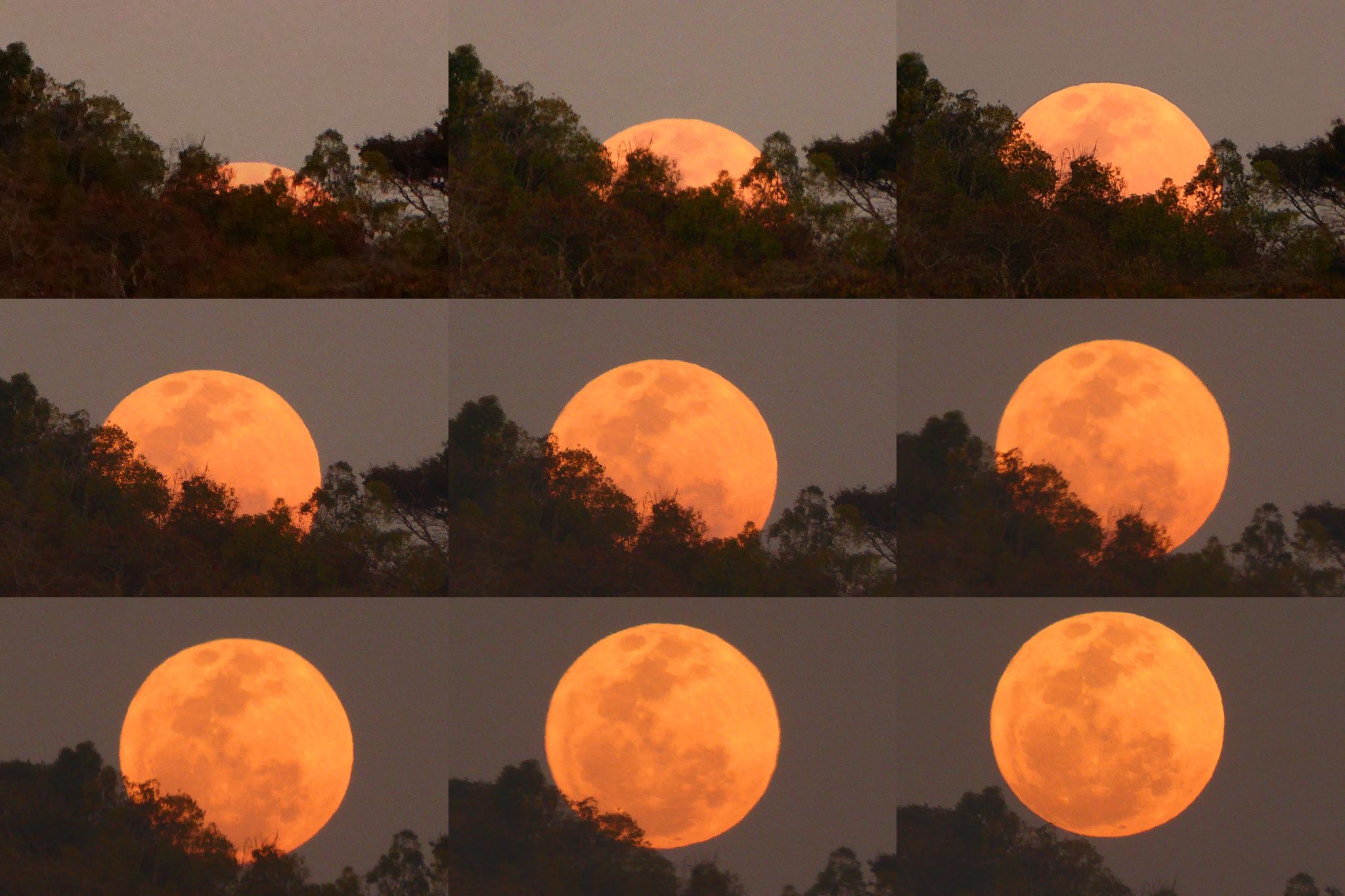 Community photo entitled Full Supermoon Rising by Peter Lowenstein on 08/19/2024 at Mutare, Zimbabwe