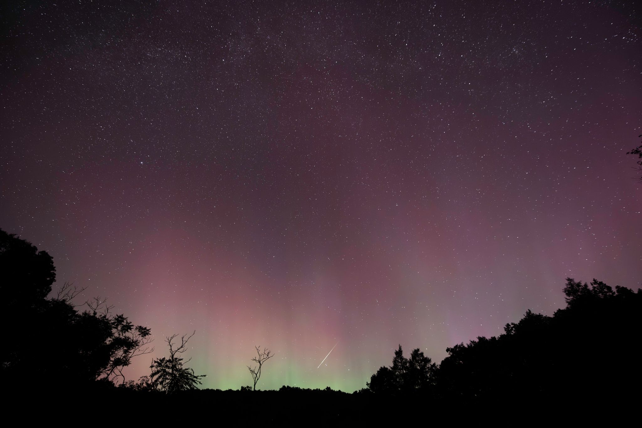 Community photo entitled Went hunting for Perseid Meteors and found many along with the unexpected Aurora! by Patrice Duffy on 08/12/2024 at Shohola, Pennsylvania USA