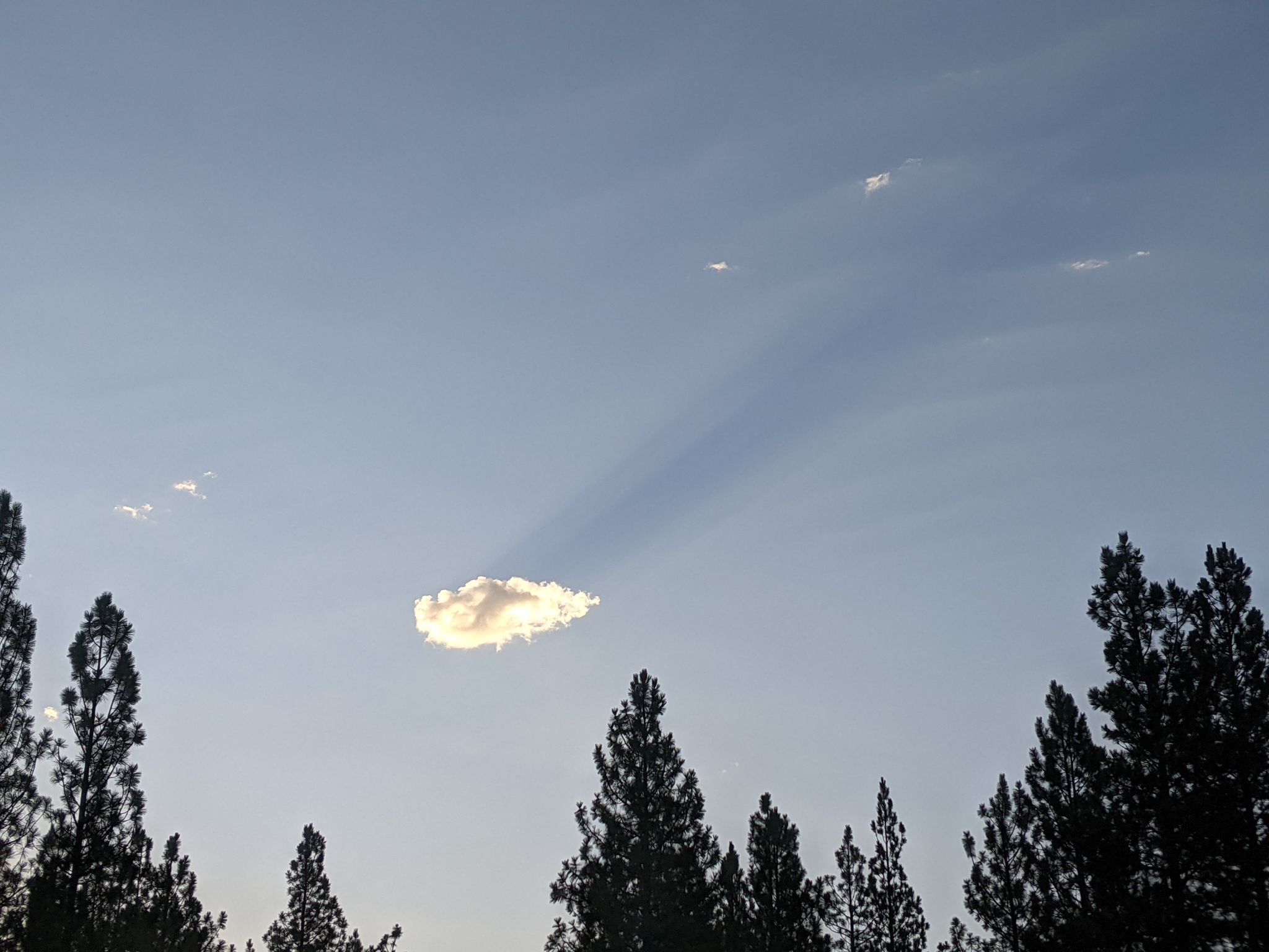 Community photo entitled Sky is Falling by Dyan Swenning on 08/18/2024 at Potomac, MT USA