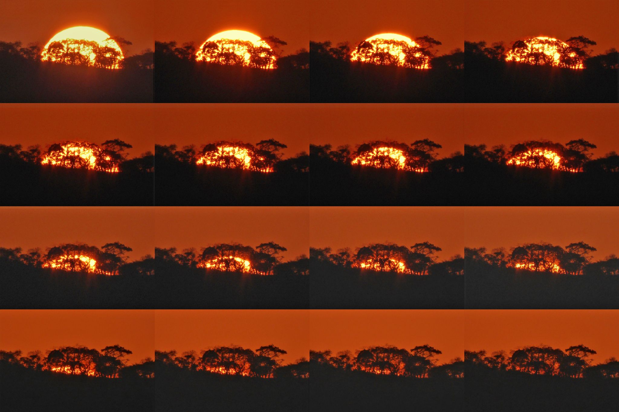 Community photo entitled Photo montage of Sun setting behind trees between 5.20 and 5.21 pm. by Peter Lowenstein on 08/07/2024 at Mutare, Zimbabwe